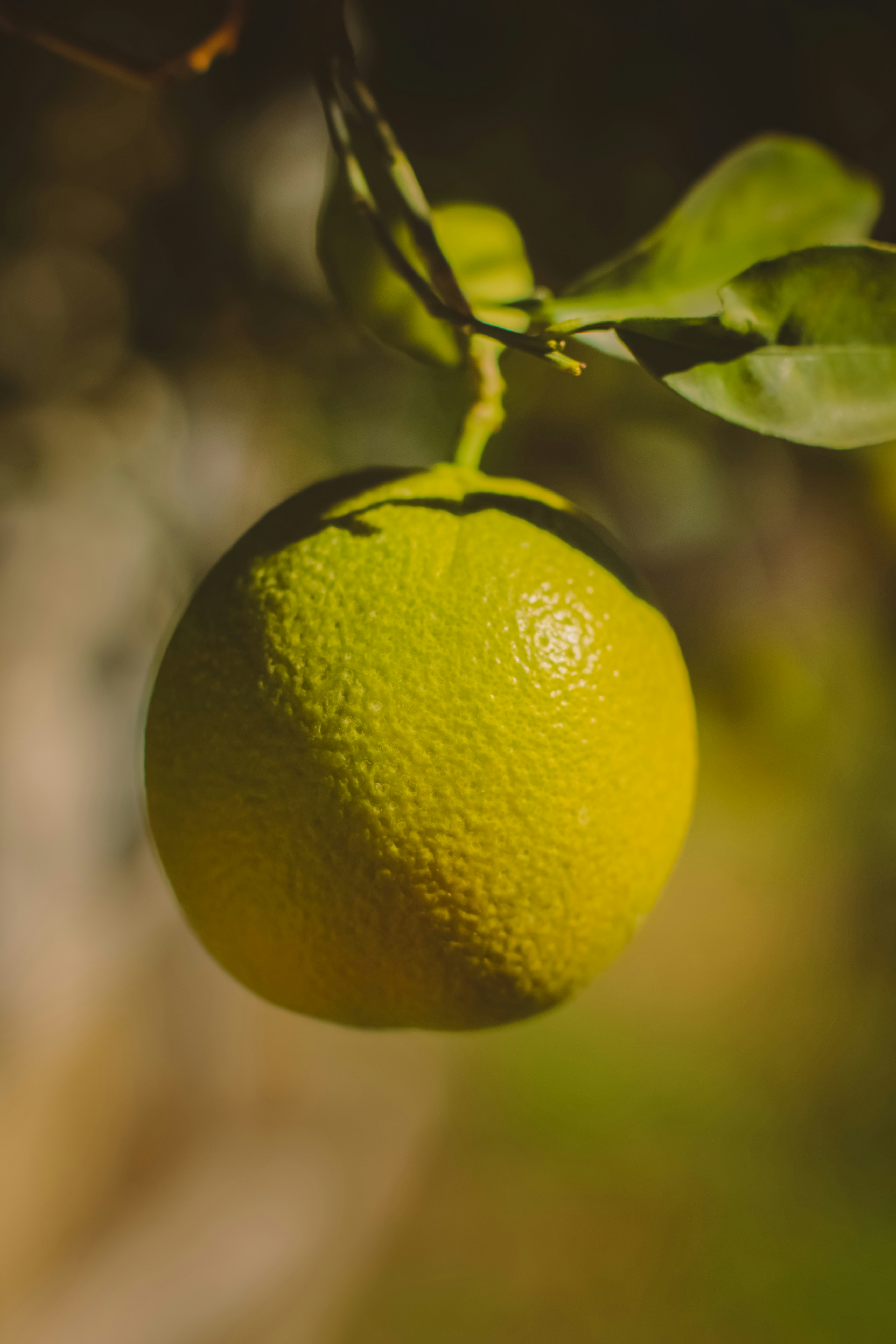 Photo by emmanuelphaeton