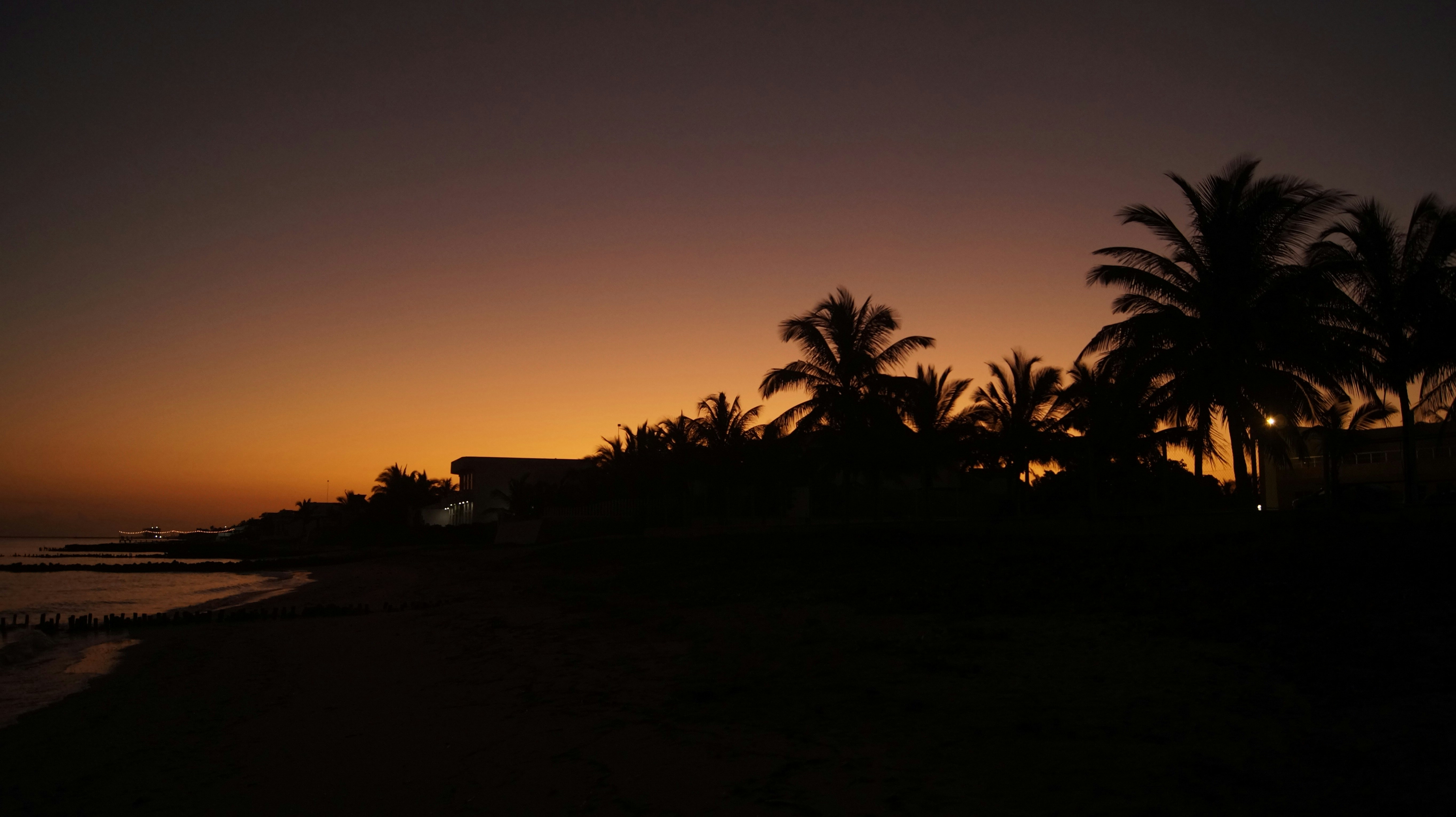 Chelem, Mexico - None