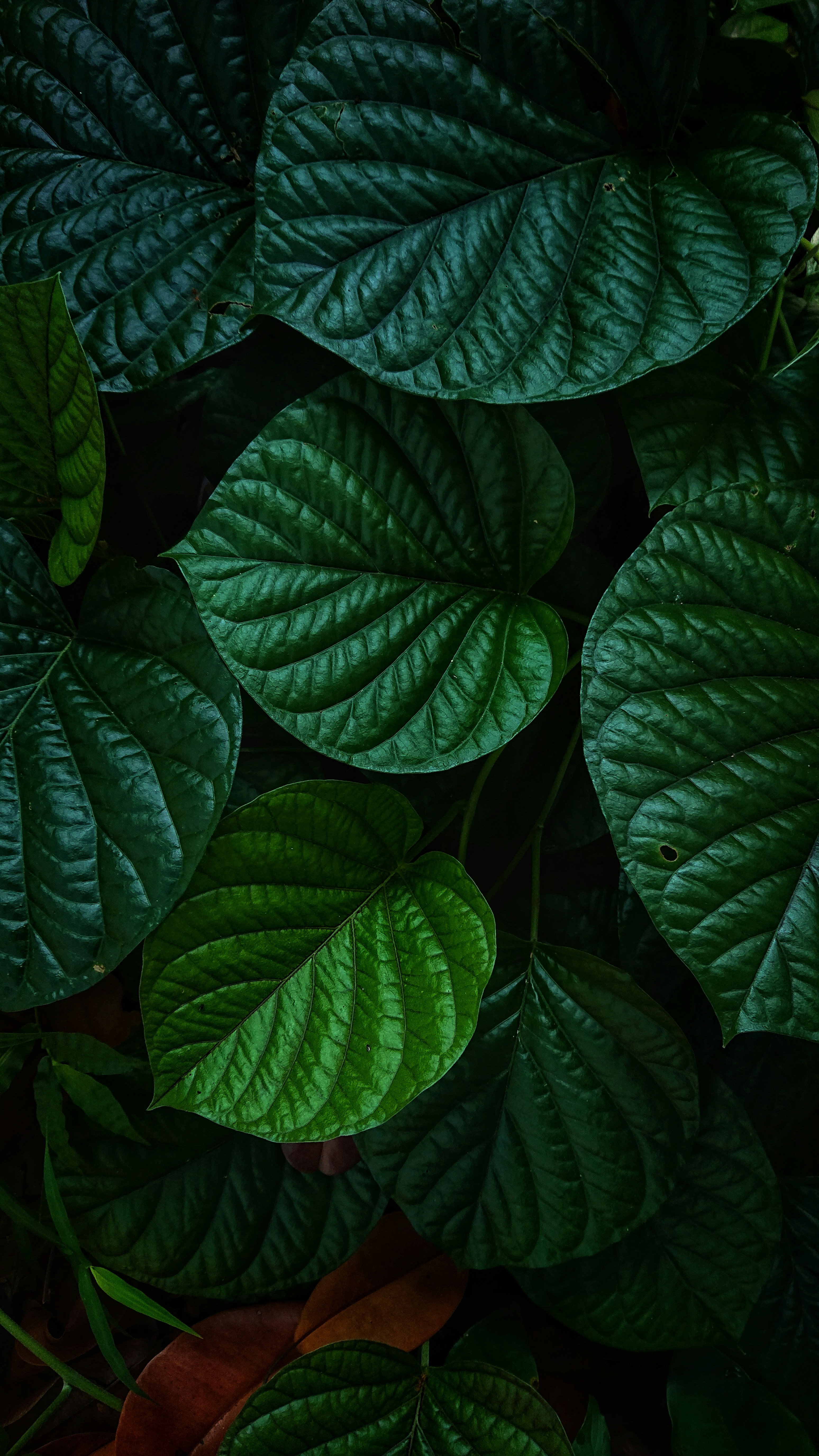 Photo by abdullohfauzan