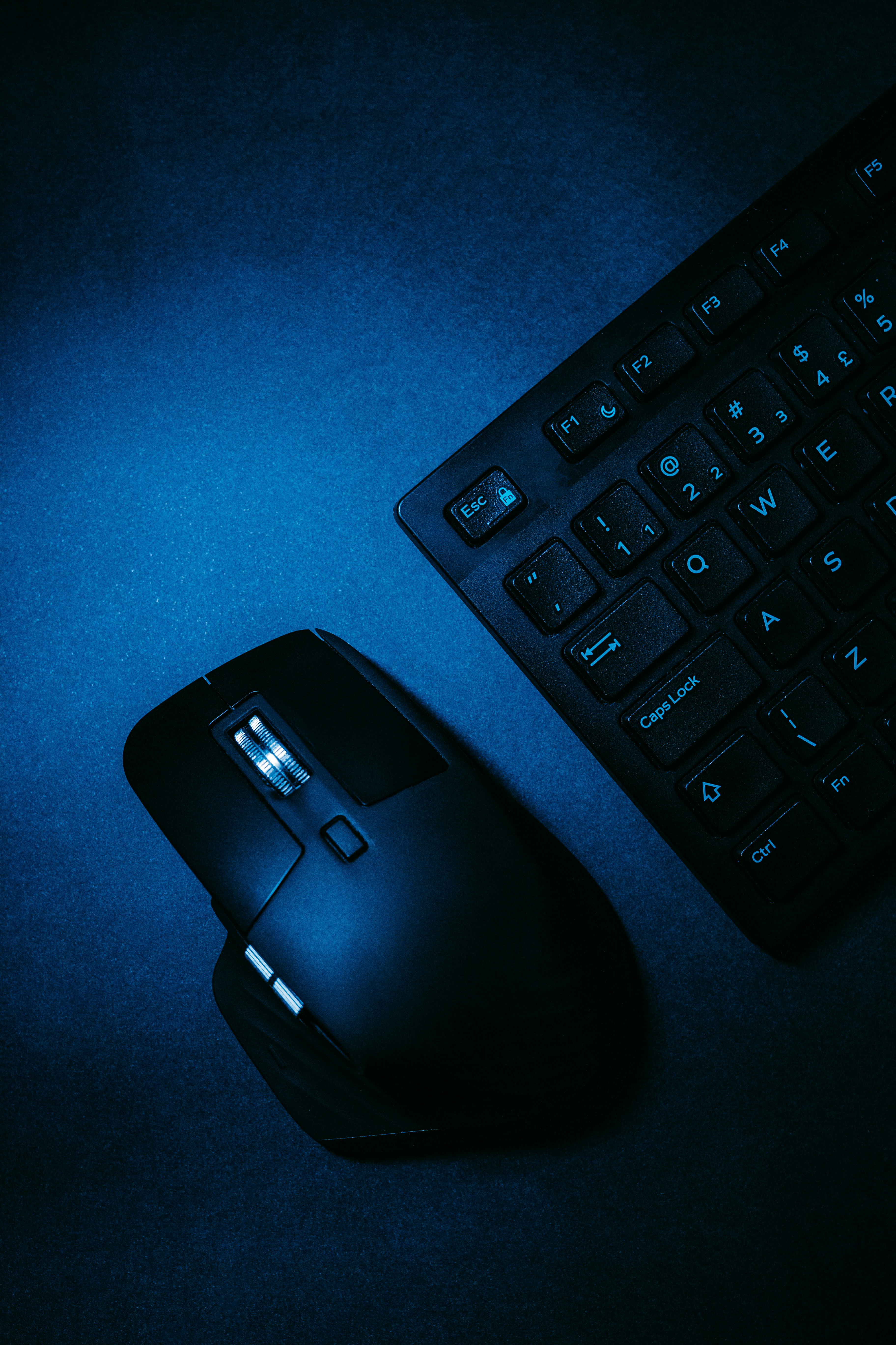 a computer mouse next to a keyboard