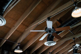 a ceiling fan with lights