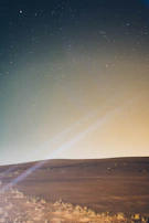 Starry night over the Sahara desert with glowing lime citrus accents on sand dunes.