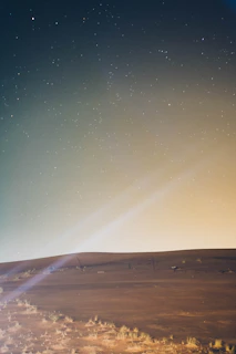 Starry night over the Sahara desert with glowing lime citrus accents on sand dunes.