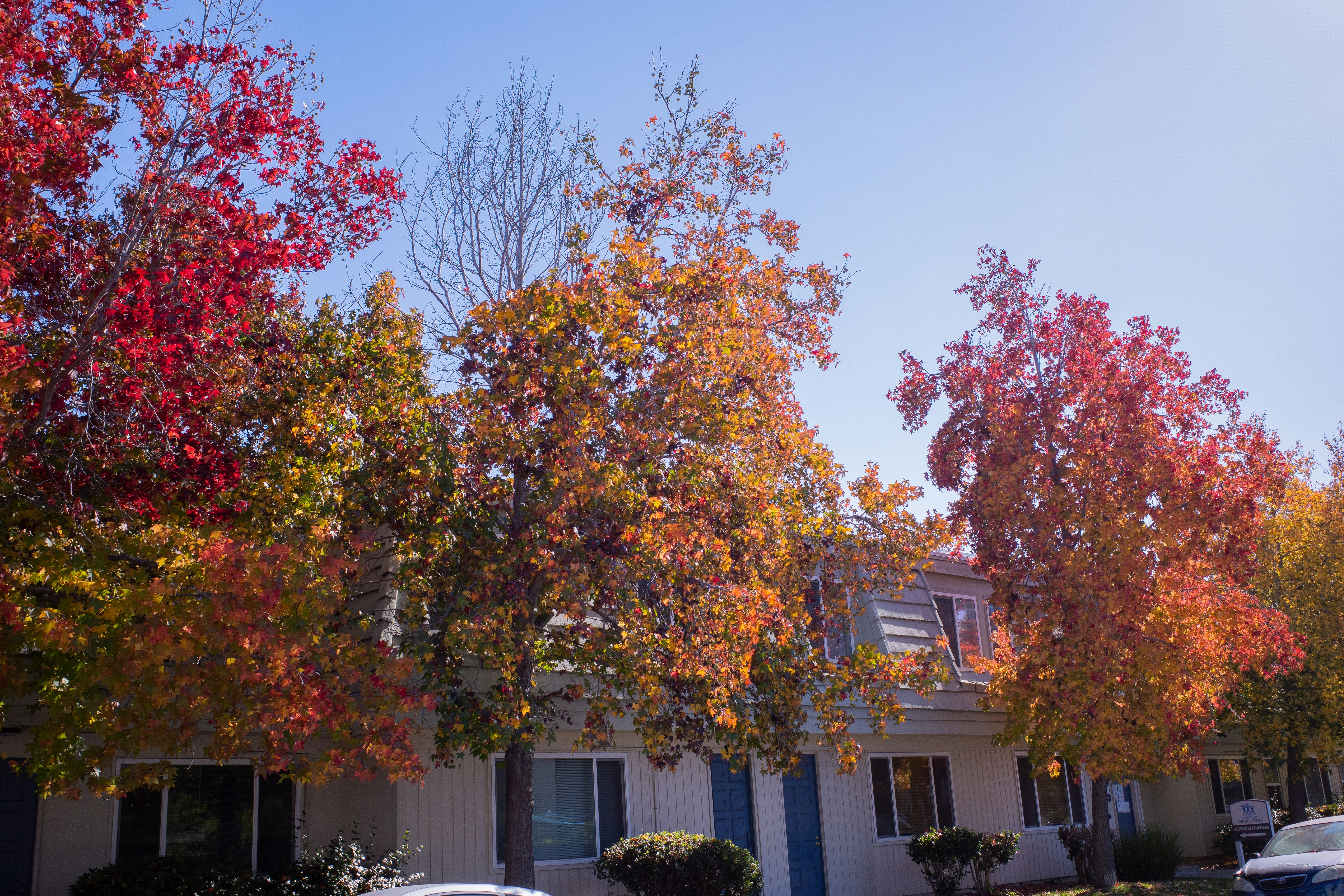 Photo by april_vasquez