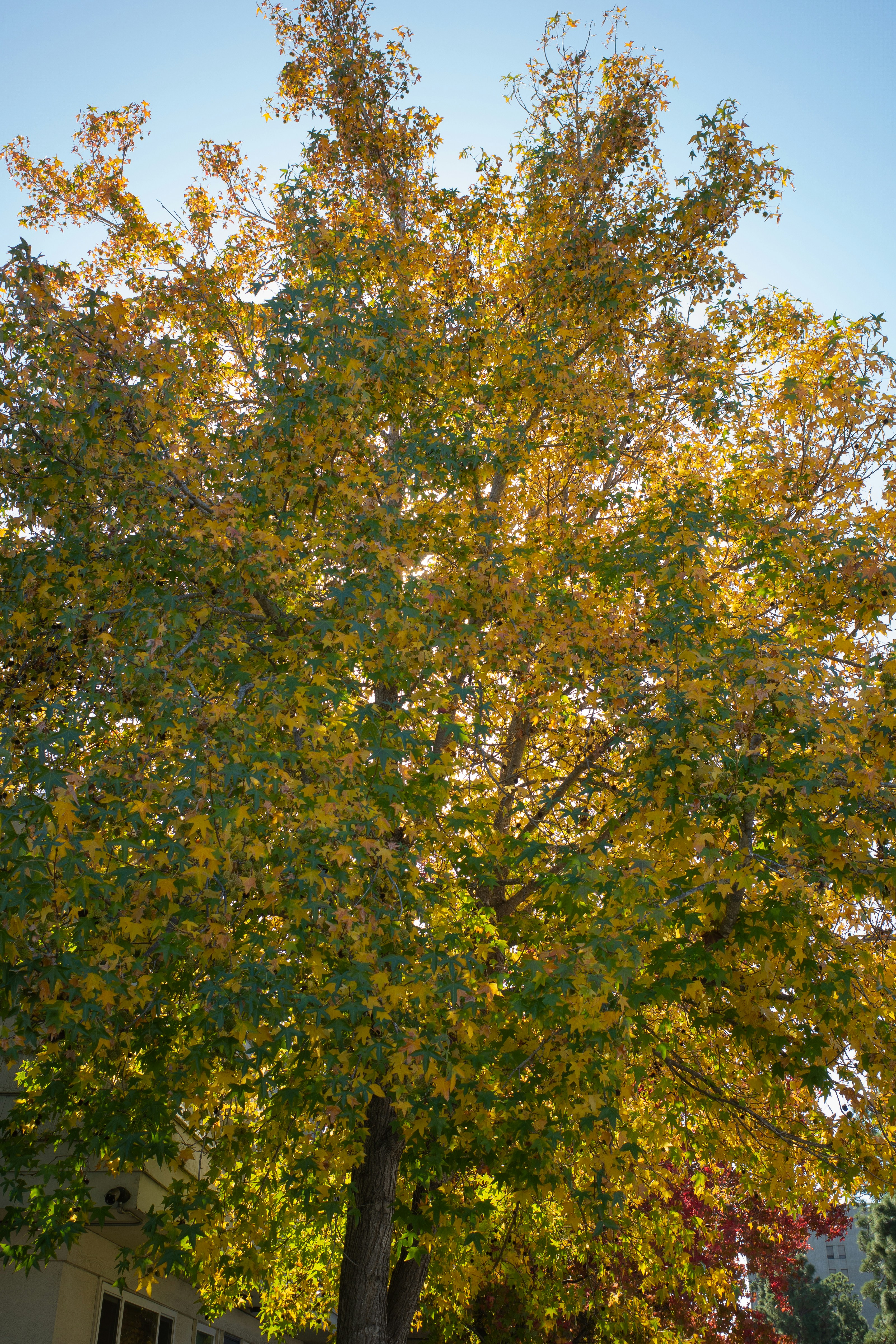 Photo by april_vasquez