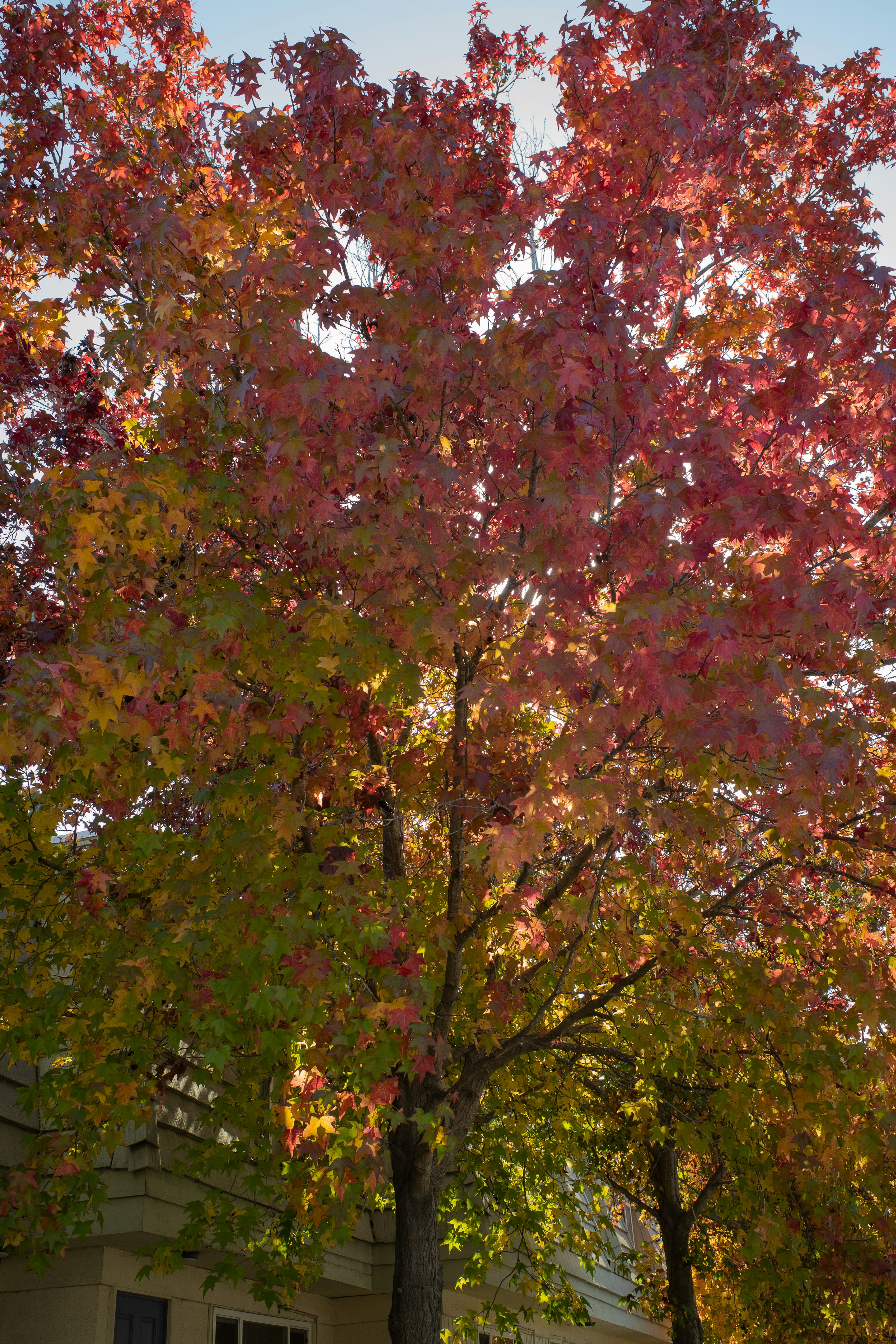 Photo by april_vasquez