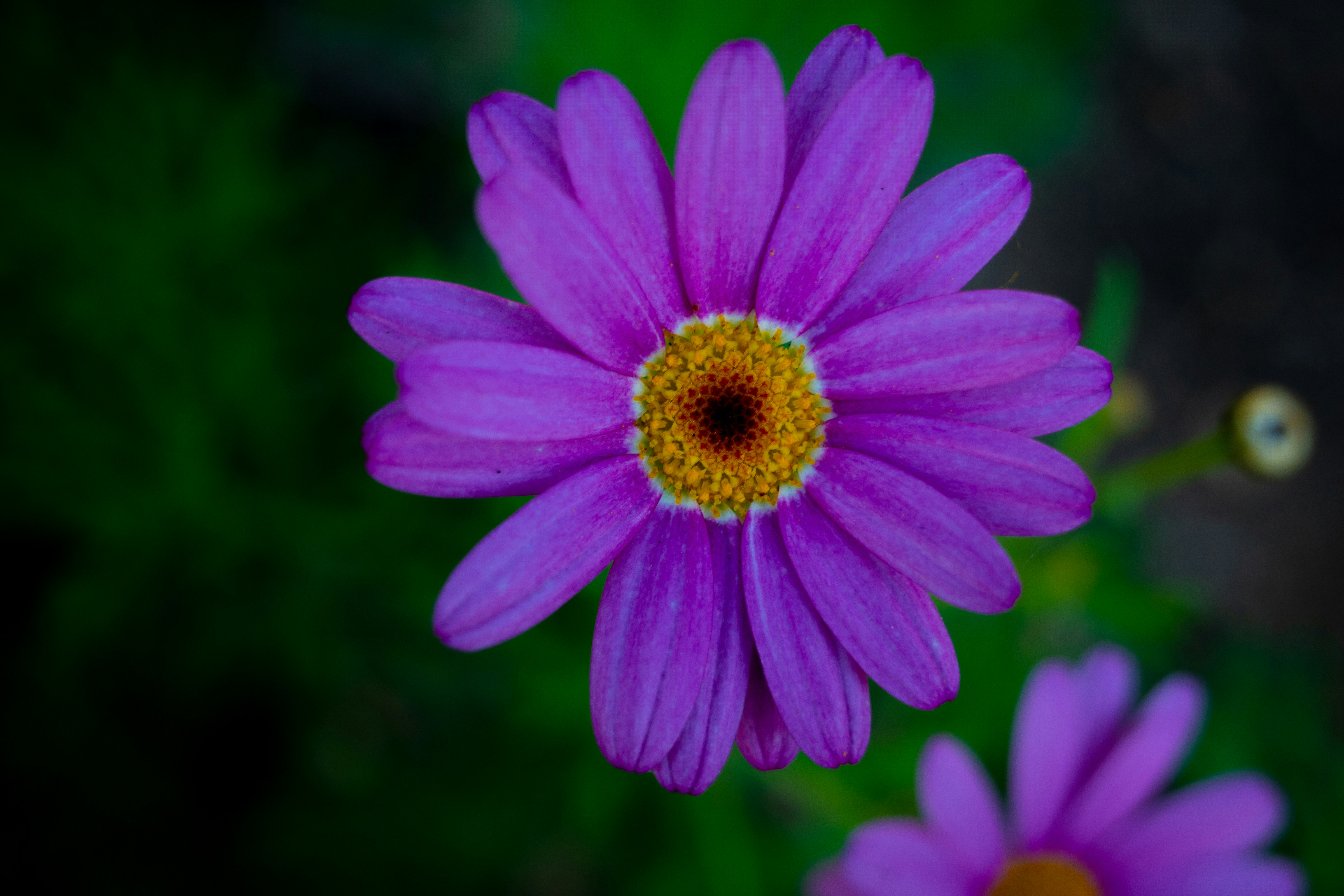 Photo by april_vasquez