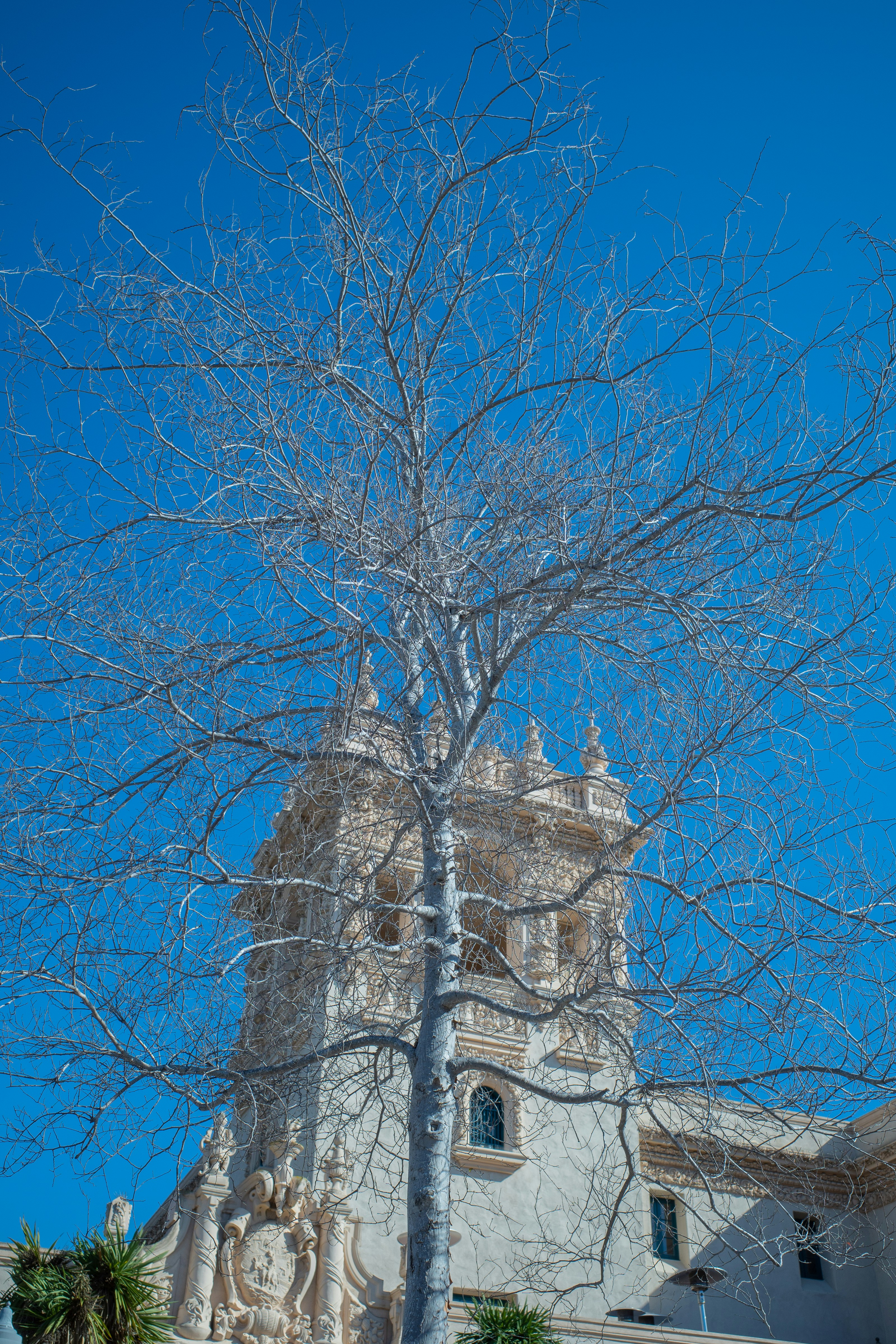 Photo by april_vasquez