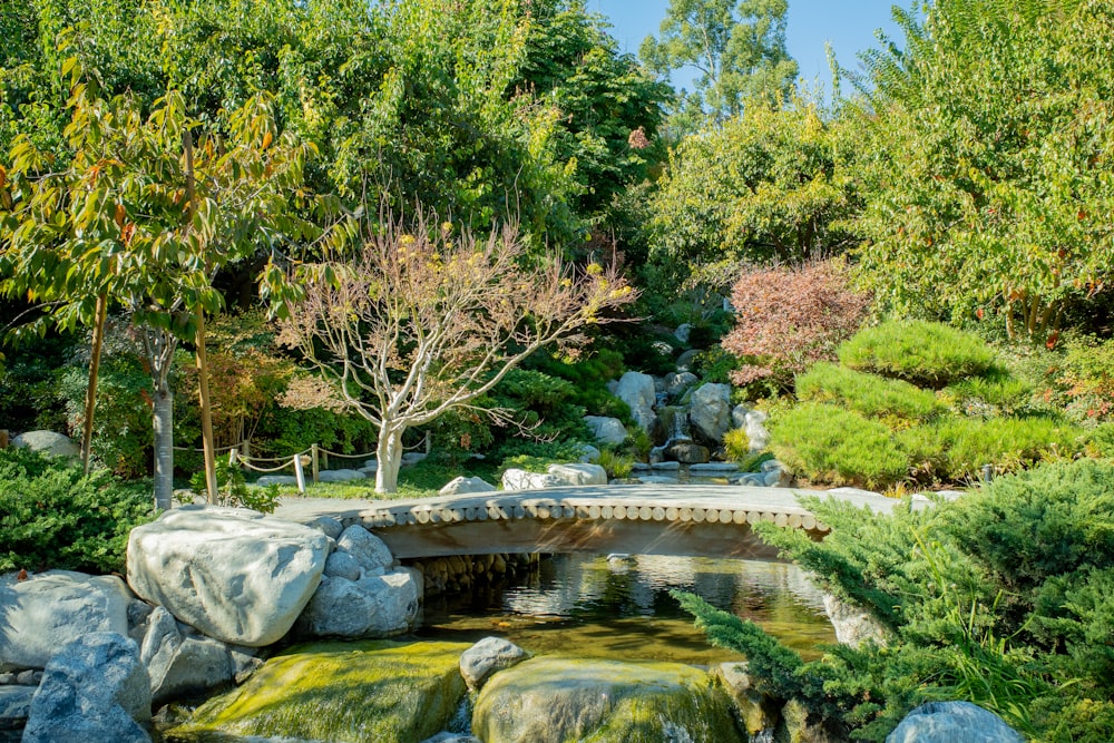 a pond surrounded by trees and rocks