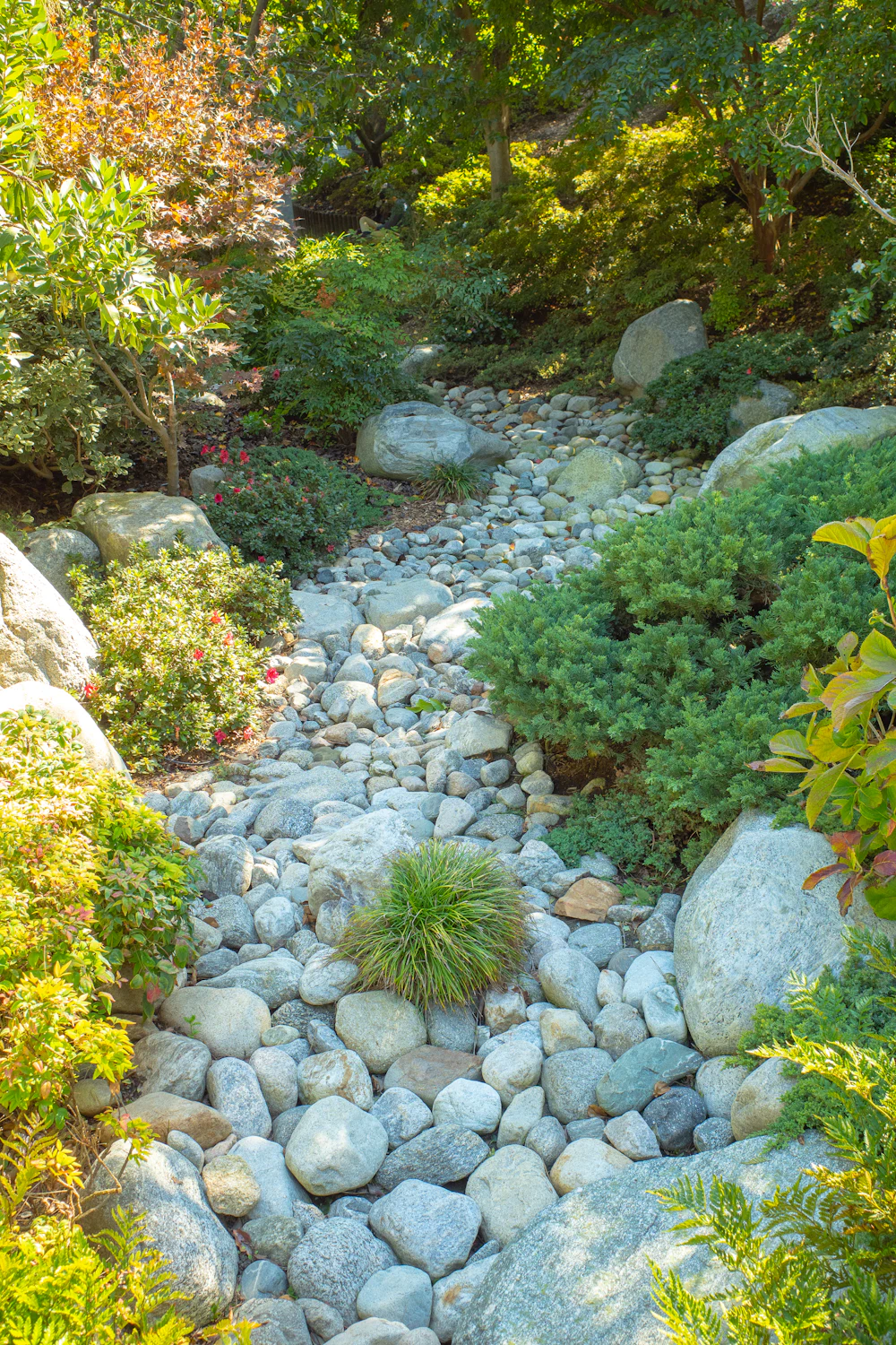 Drainage Solutions in Sandy Springs