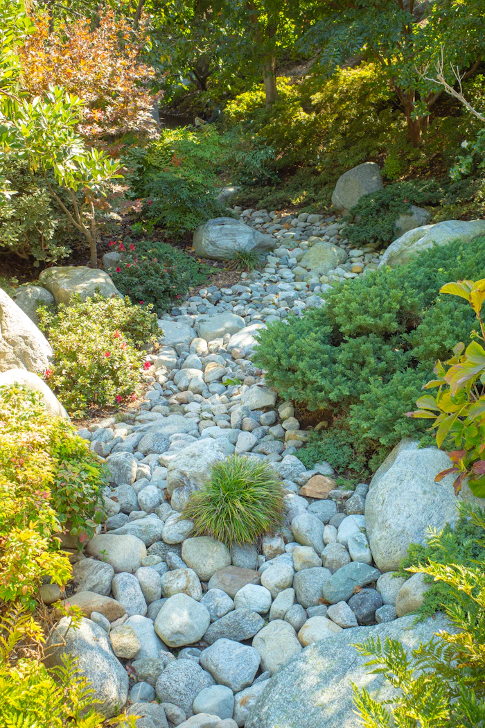 Dry Creek Beds in McKinney, TX