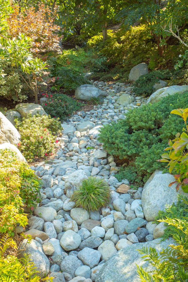 Drainage Solutions in Grapevine, TX