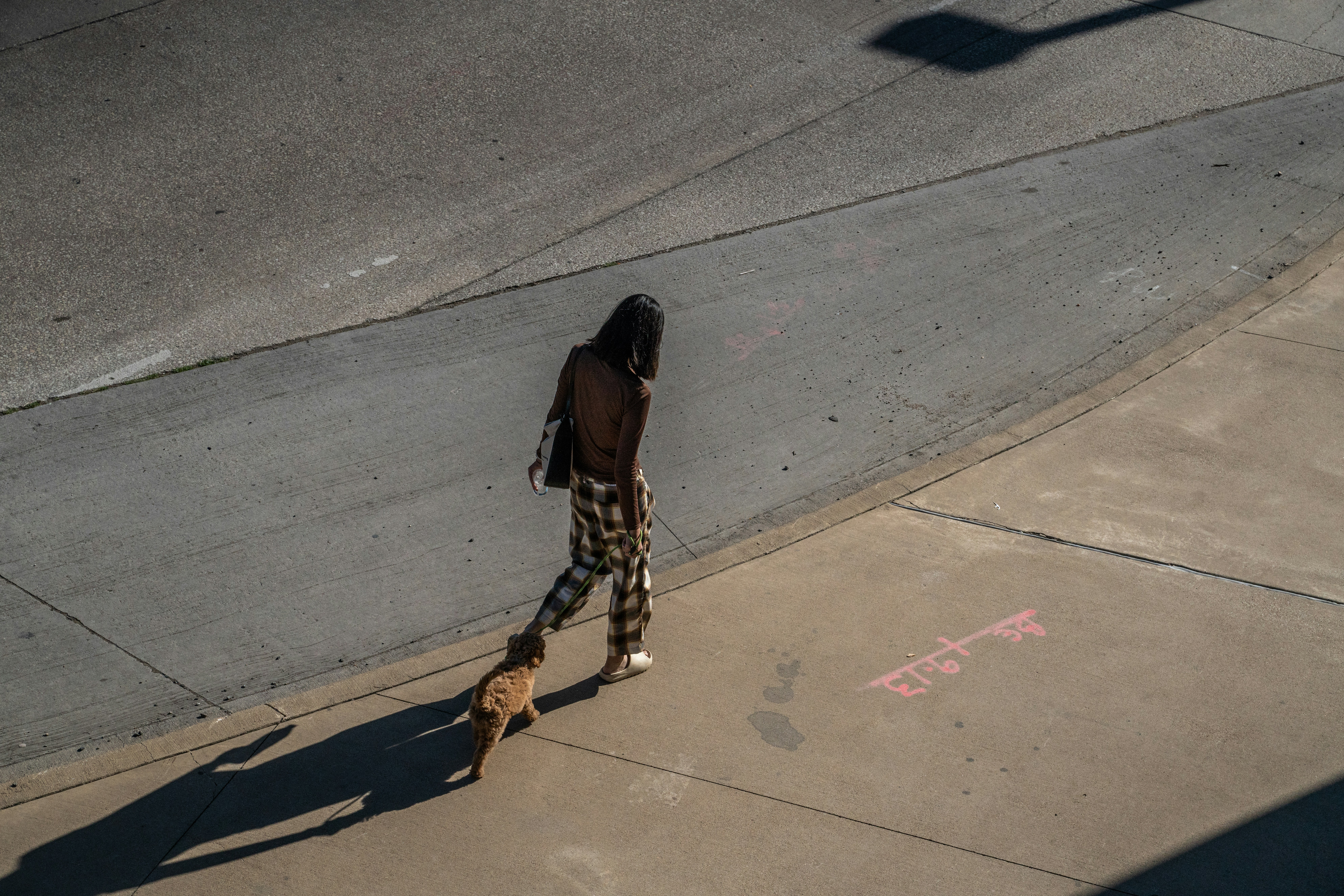 a person walking a dog on a sidewalk