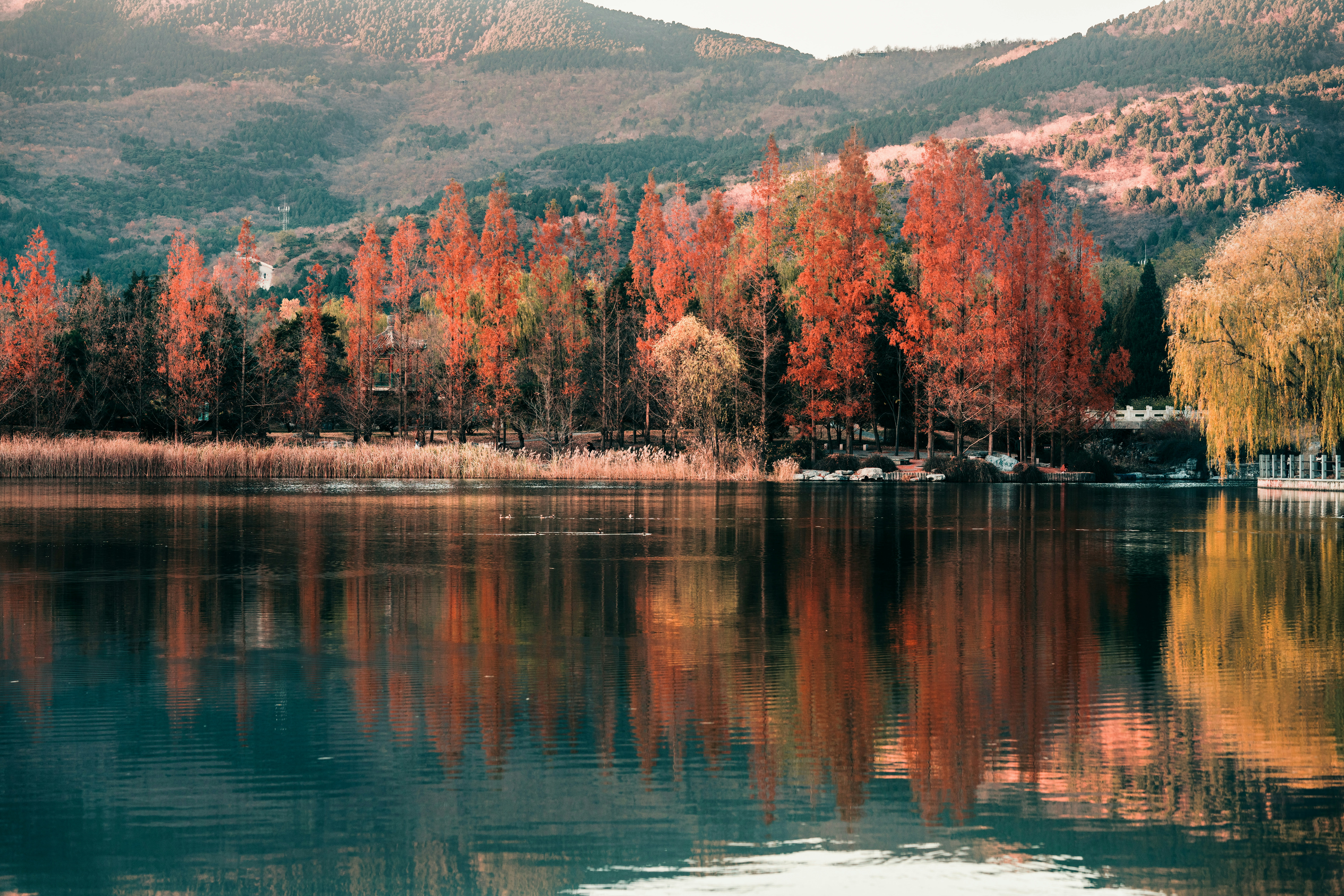 Photo by zhangkaiyv