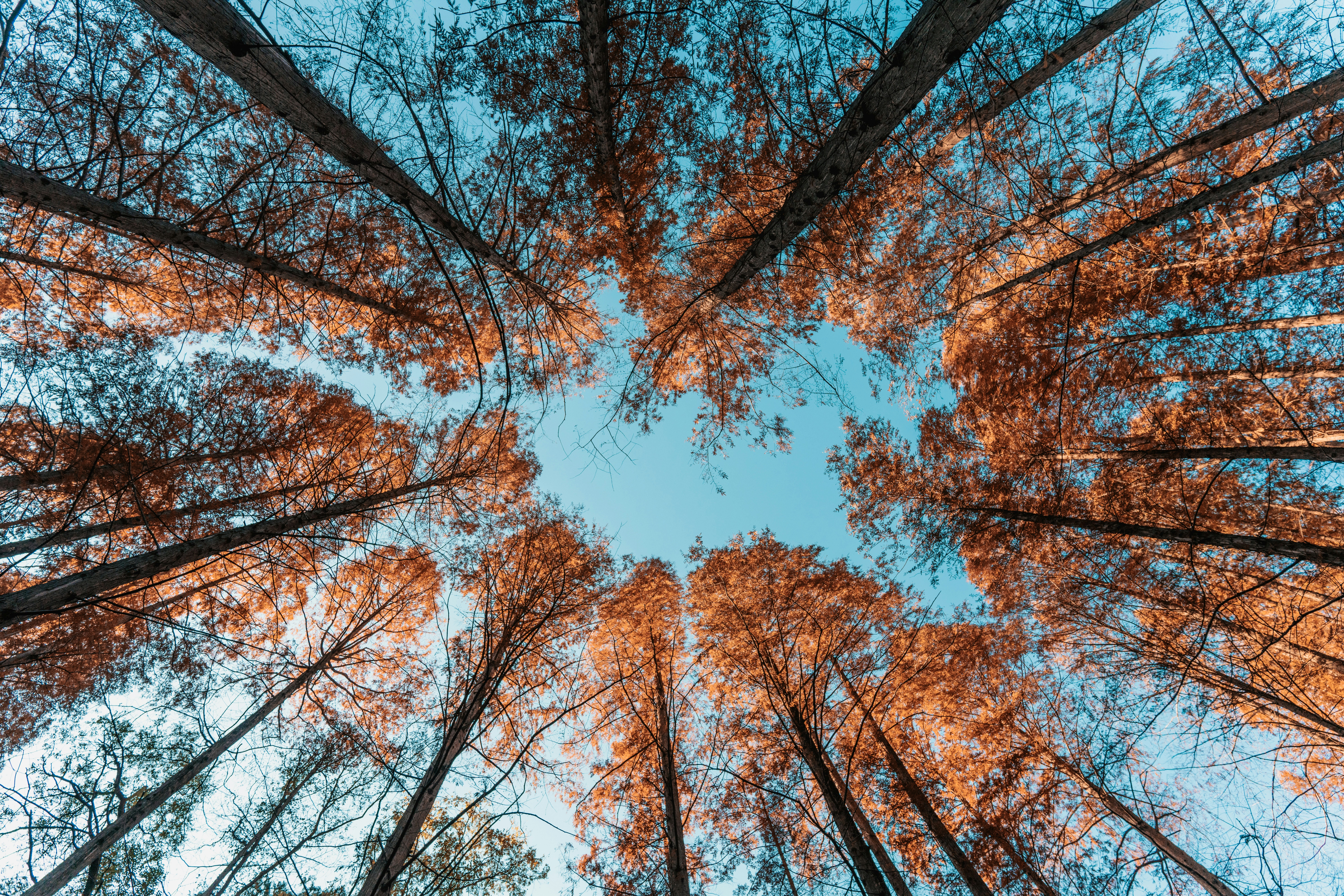 Photo by zhangkaiyv