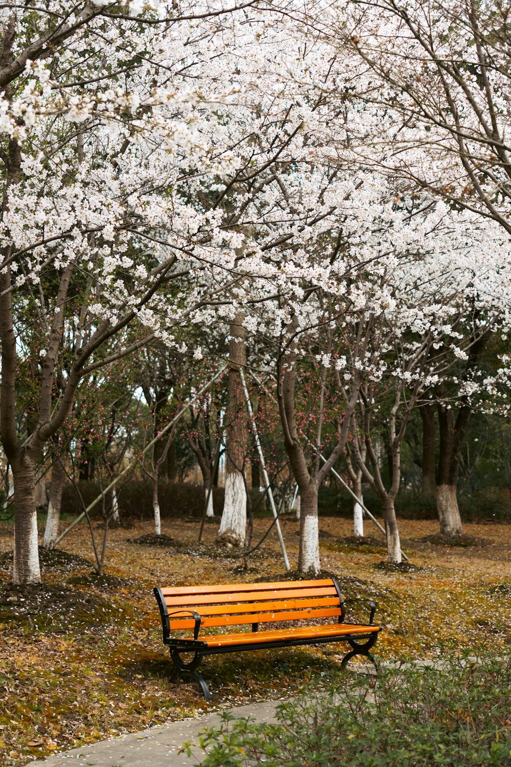 a bench in a park