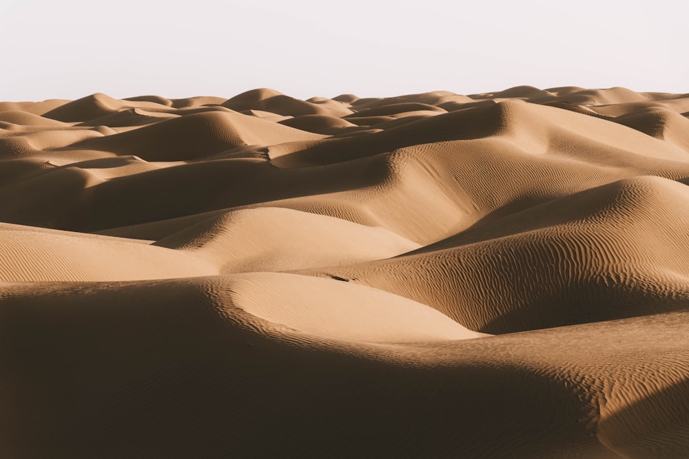 a large desert landscape