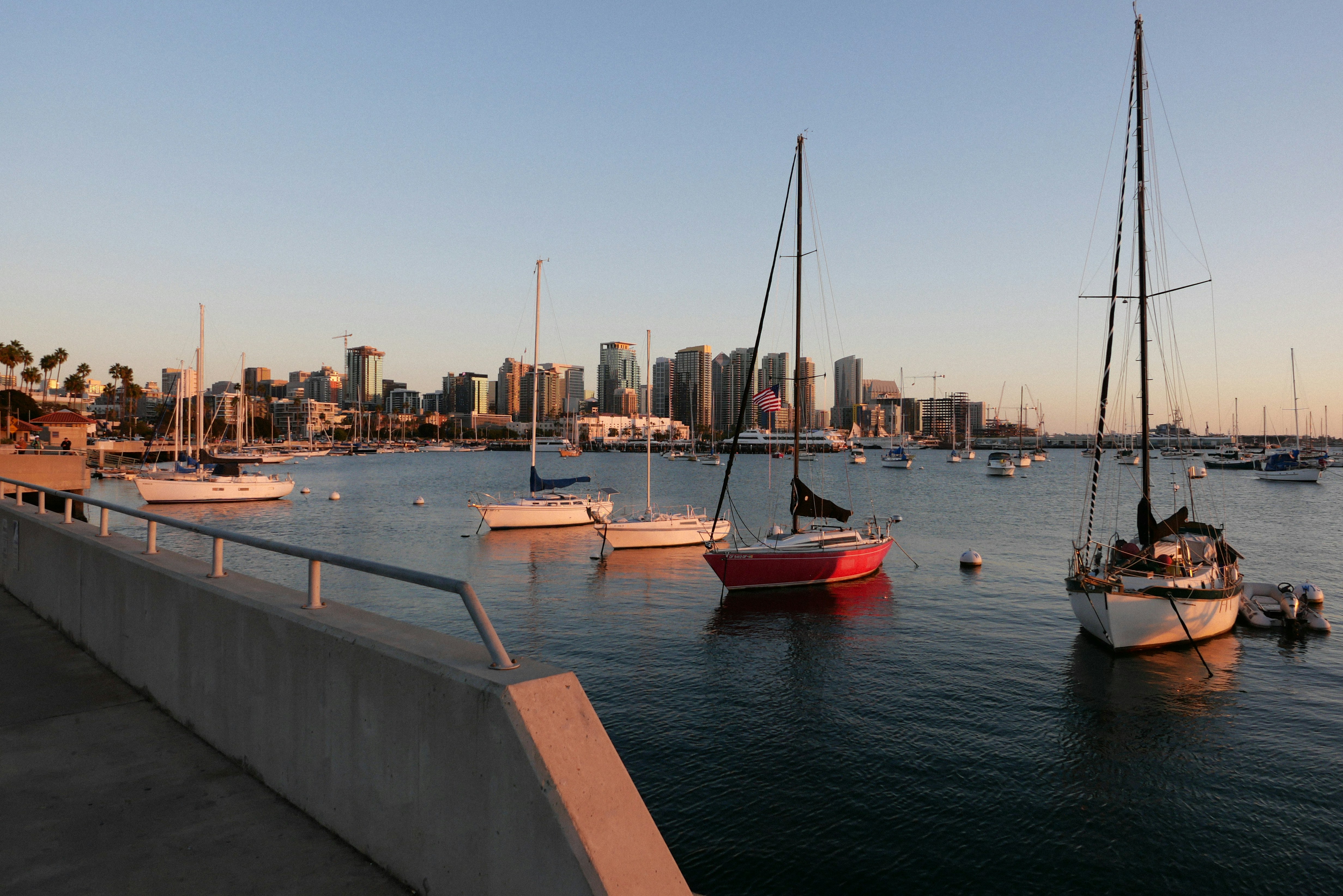 a group of boats sit in a harbor