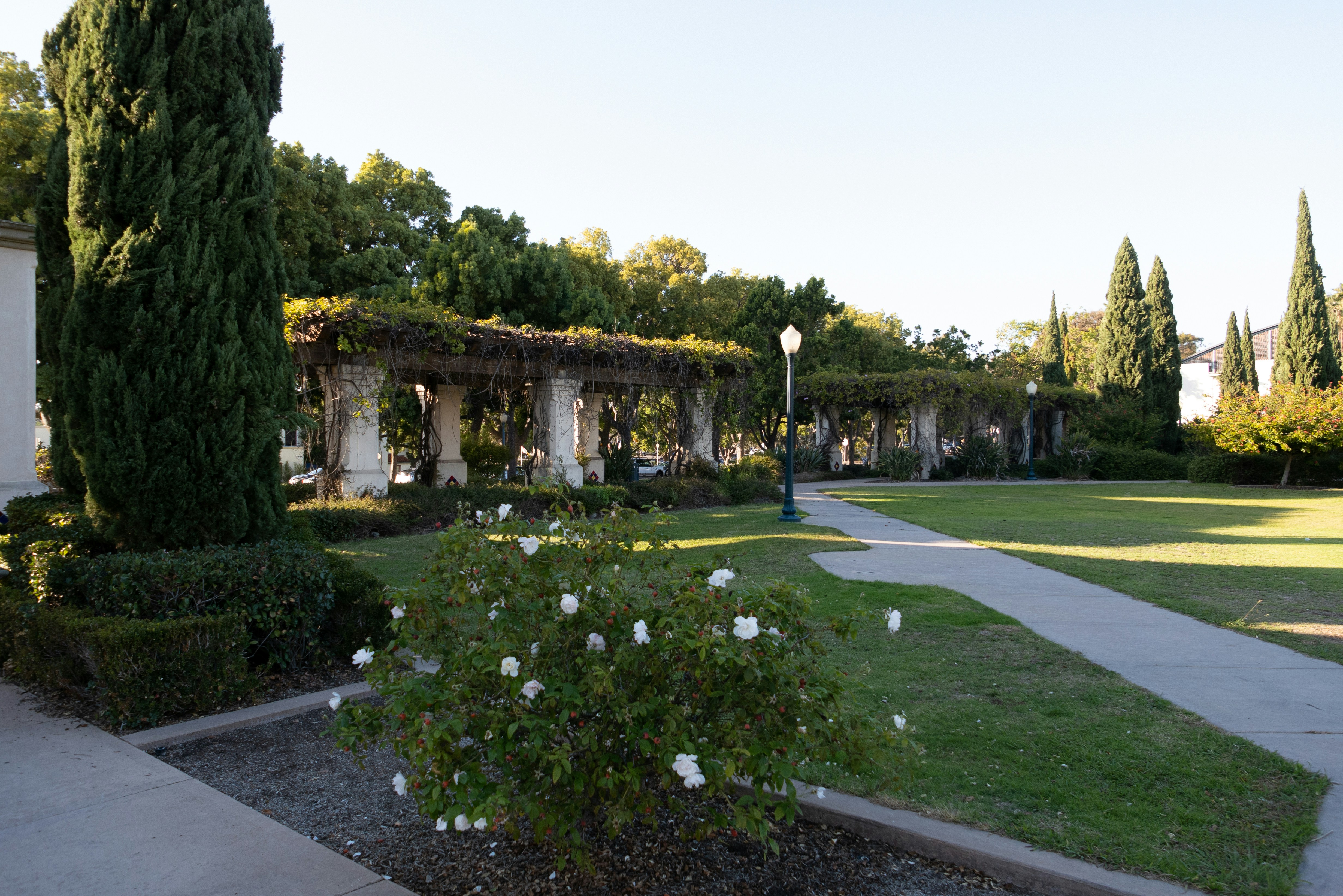 a garden with a stone arch