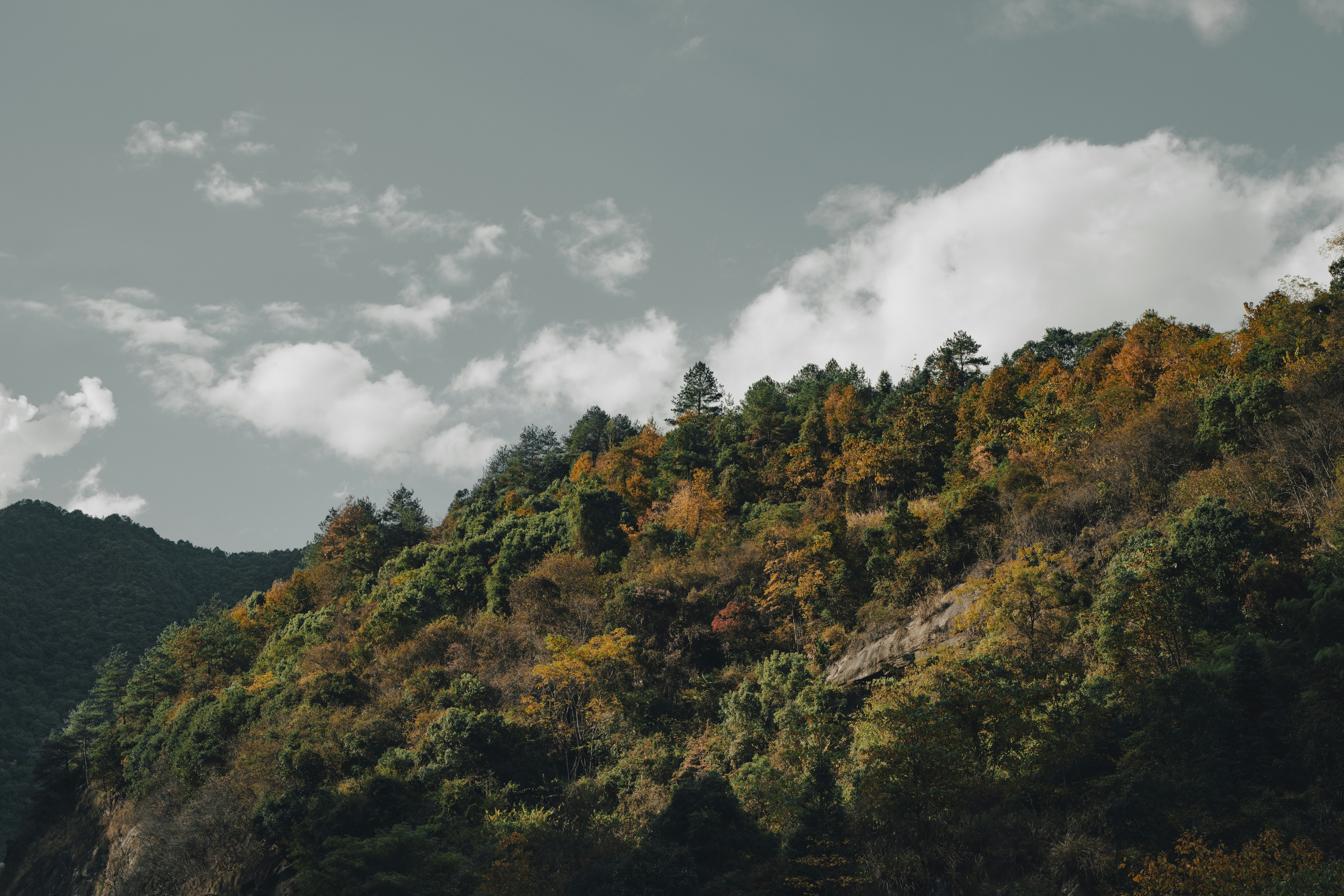 Photo by superxcalvin