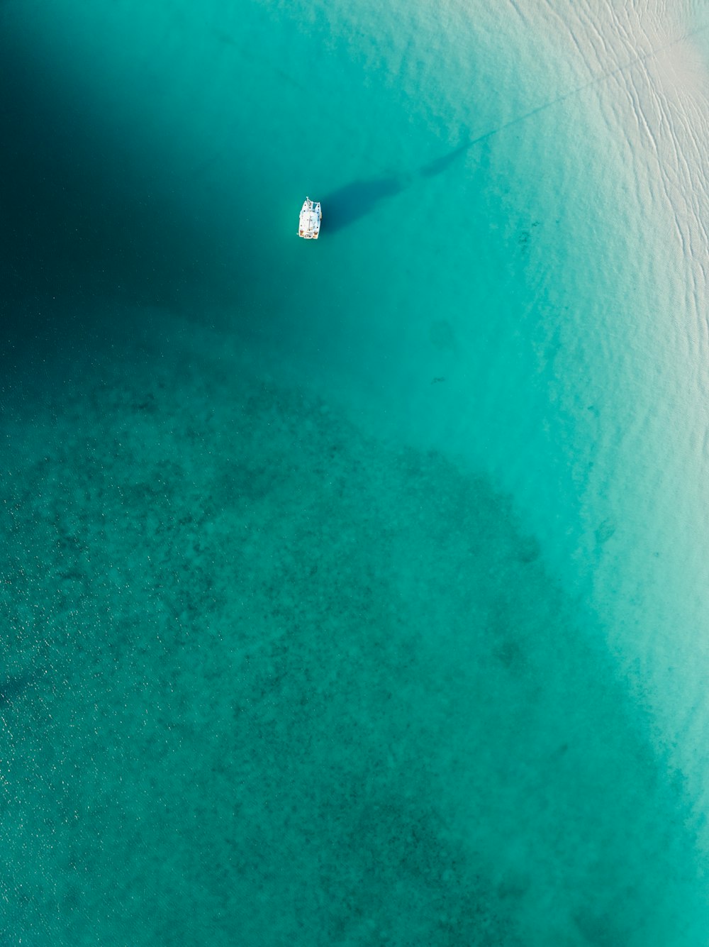 a white object on a blue surface