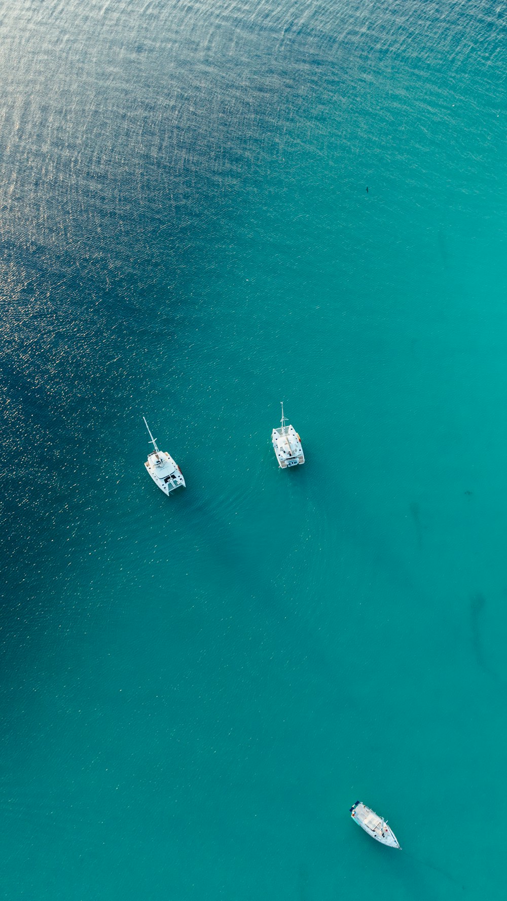 a group of boats in the water