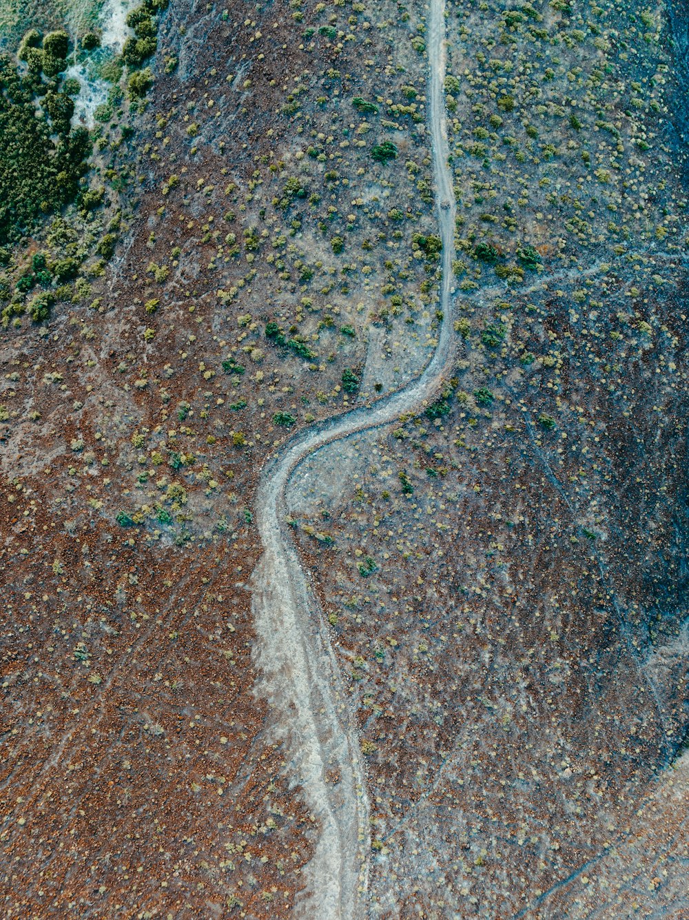 Una strada in un campo