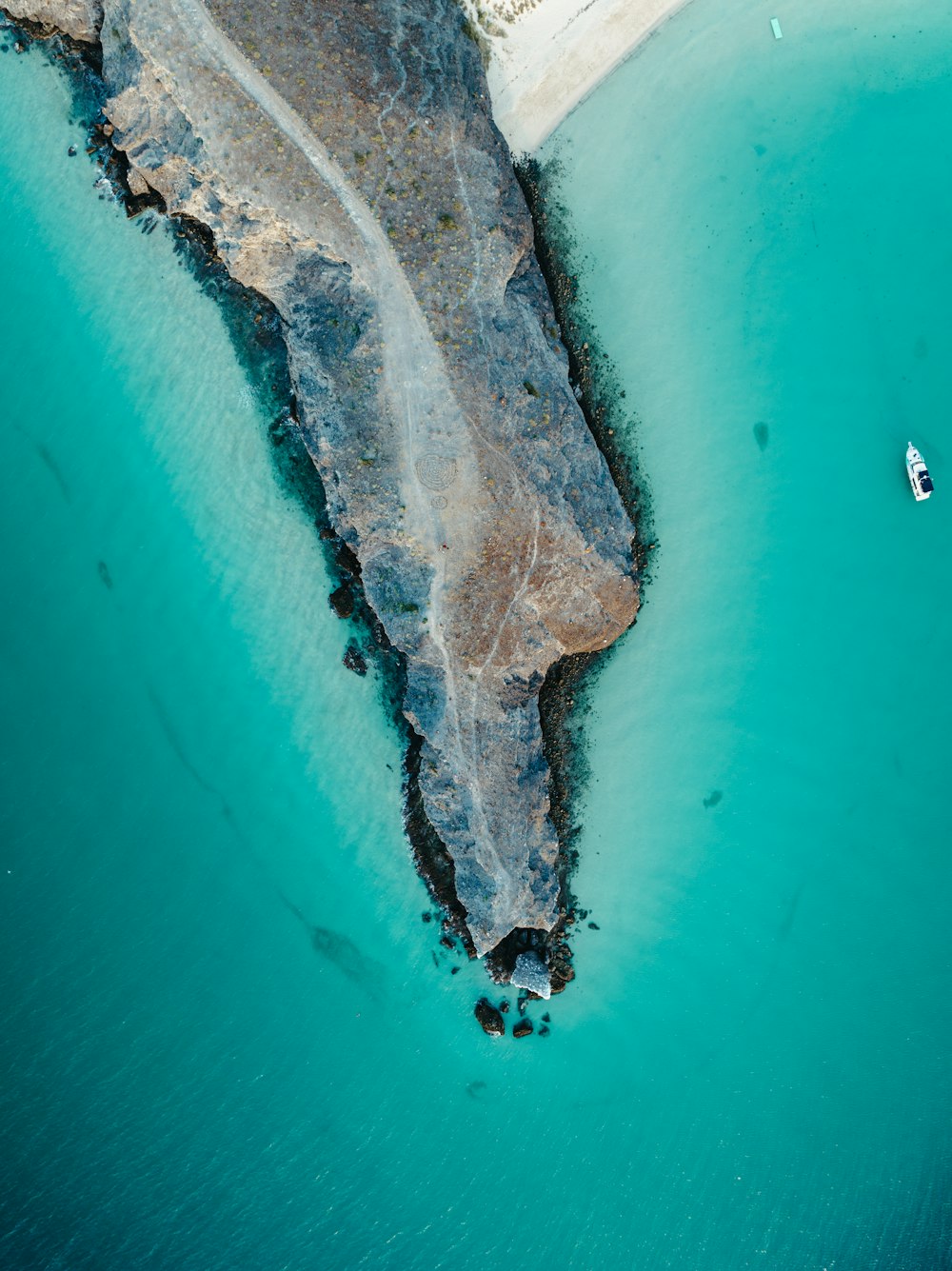 a body of water with a rock in it