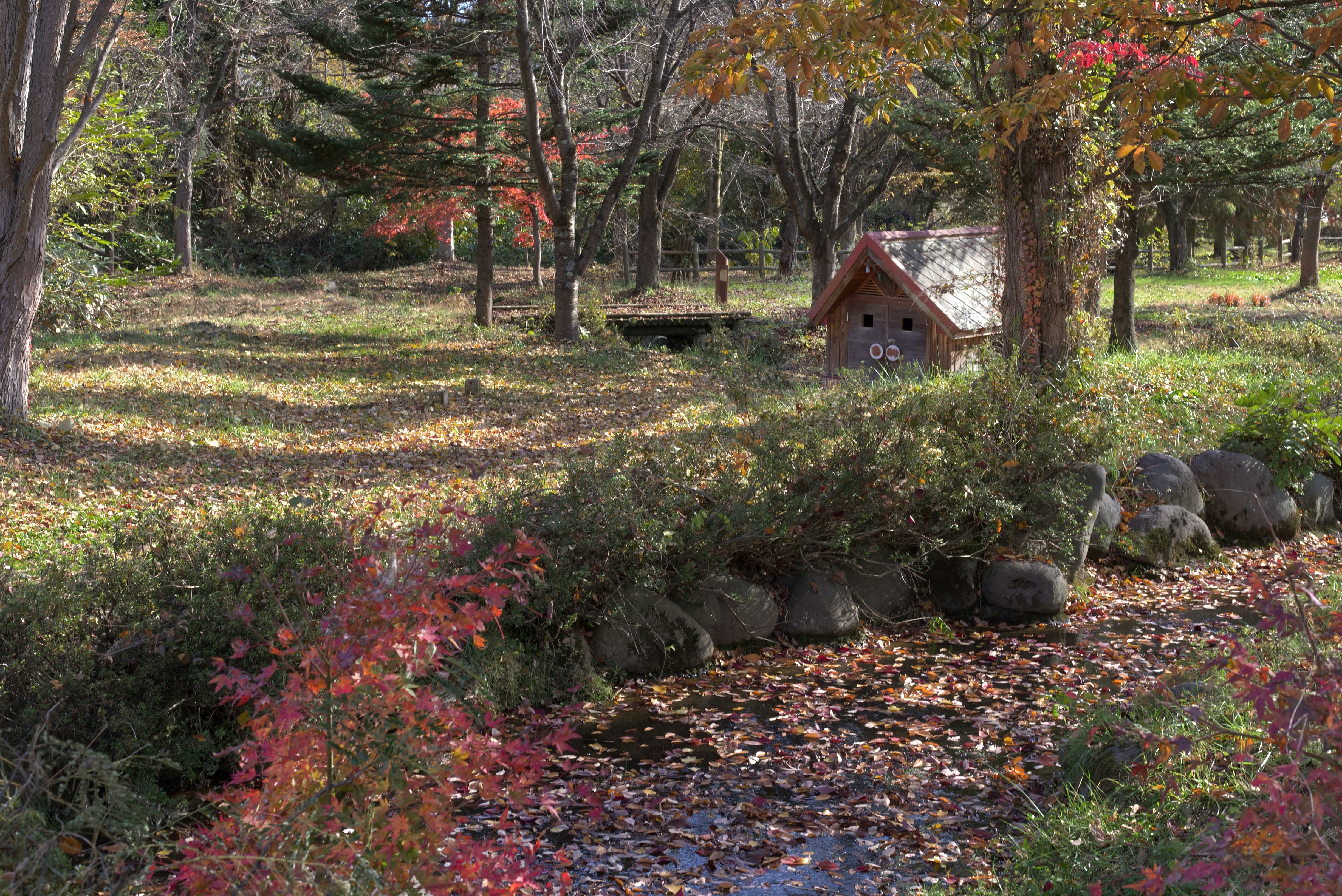 a small house in a wooded area