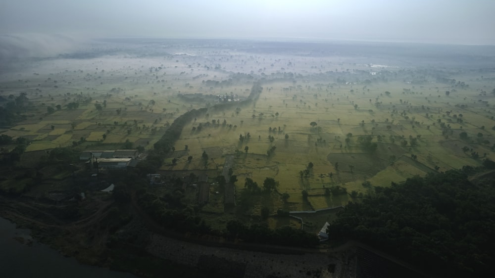 Eine Landschaft mit Bäumen und Gebäuden