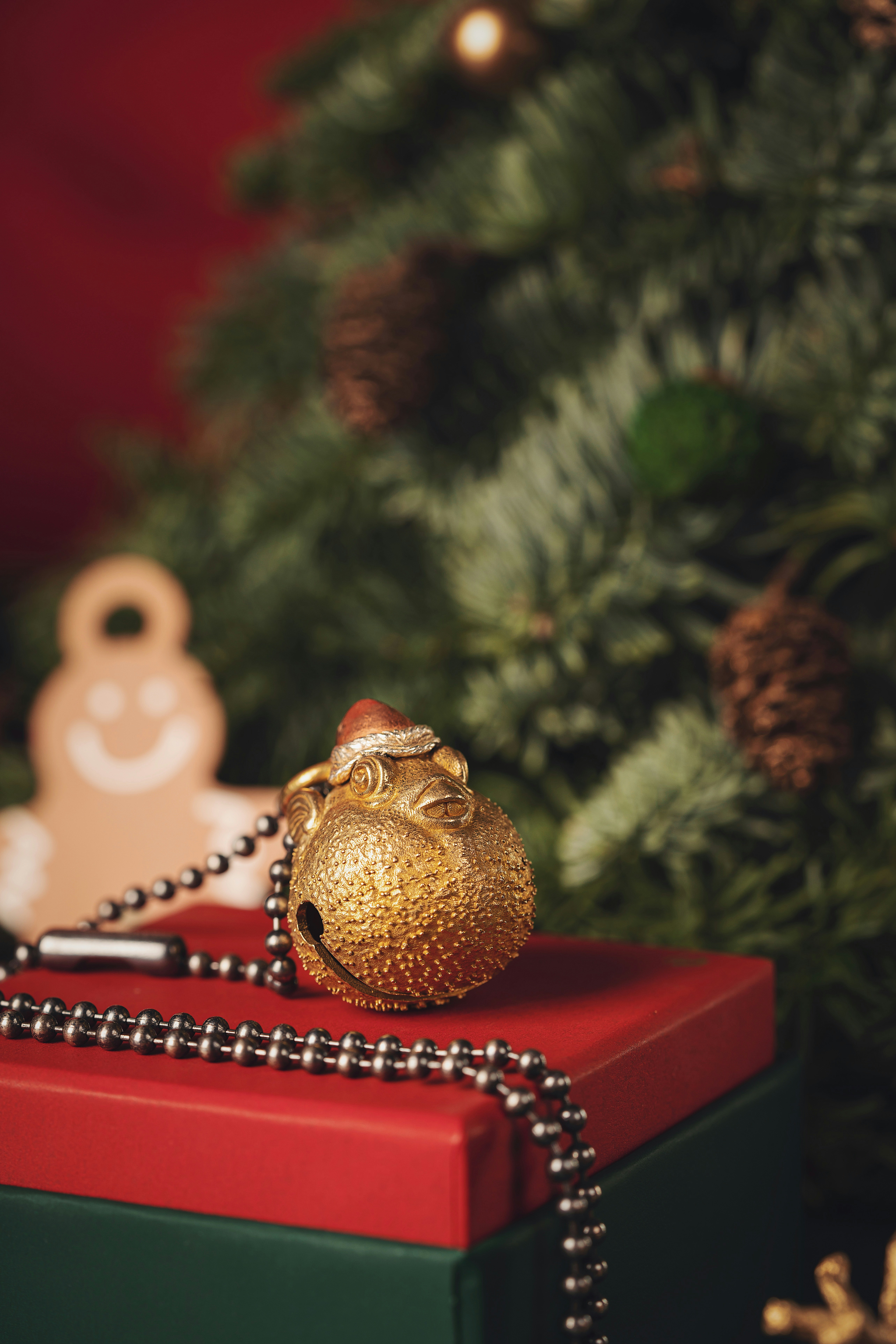 Photo by coppertistwu