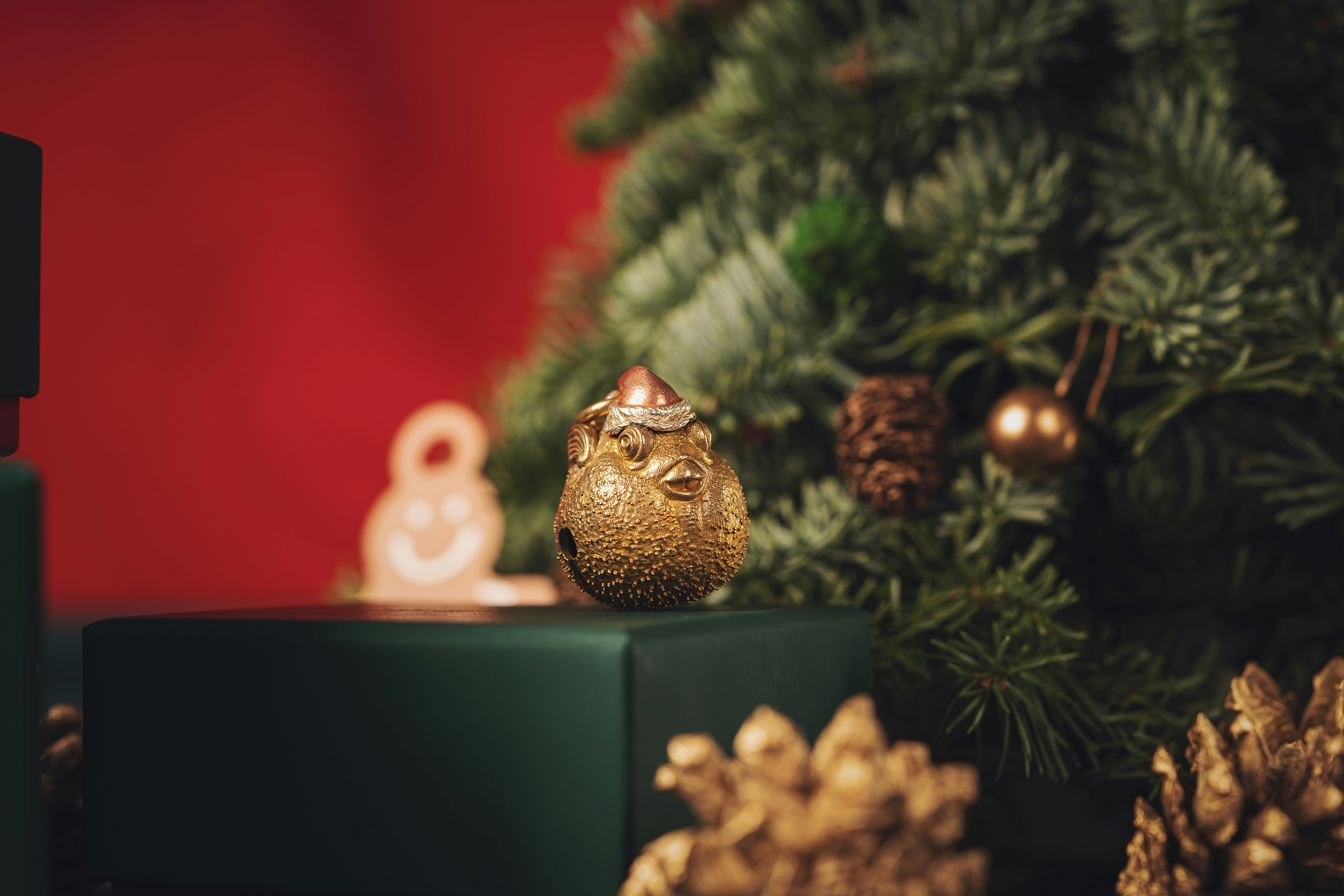 Photo by coppertistwu