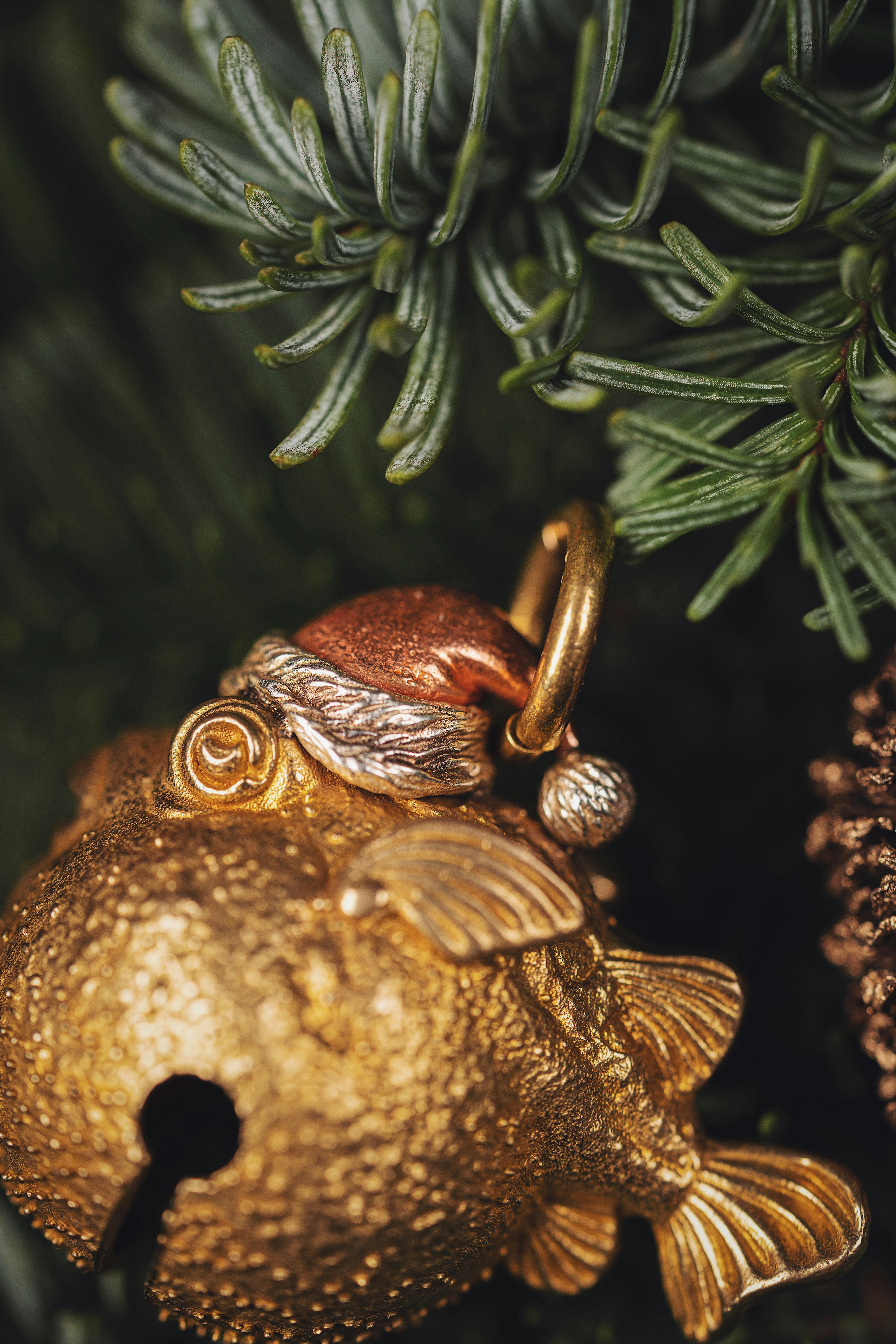 A brown and green lizard photo – Free Festival Image on Unsplash