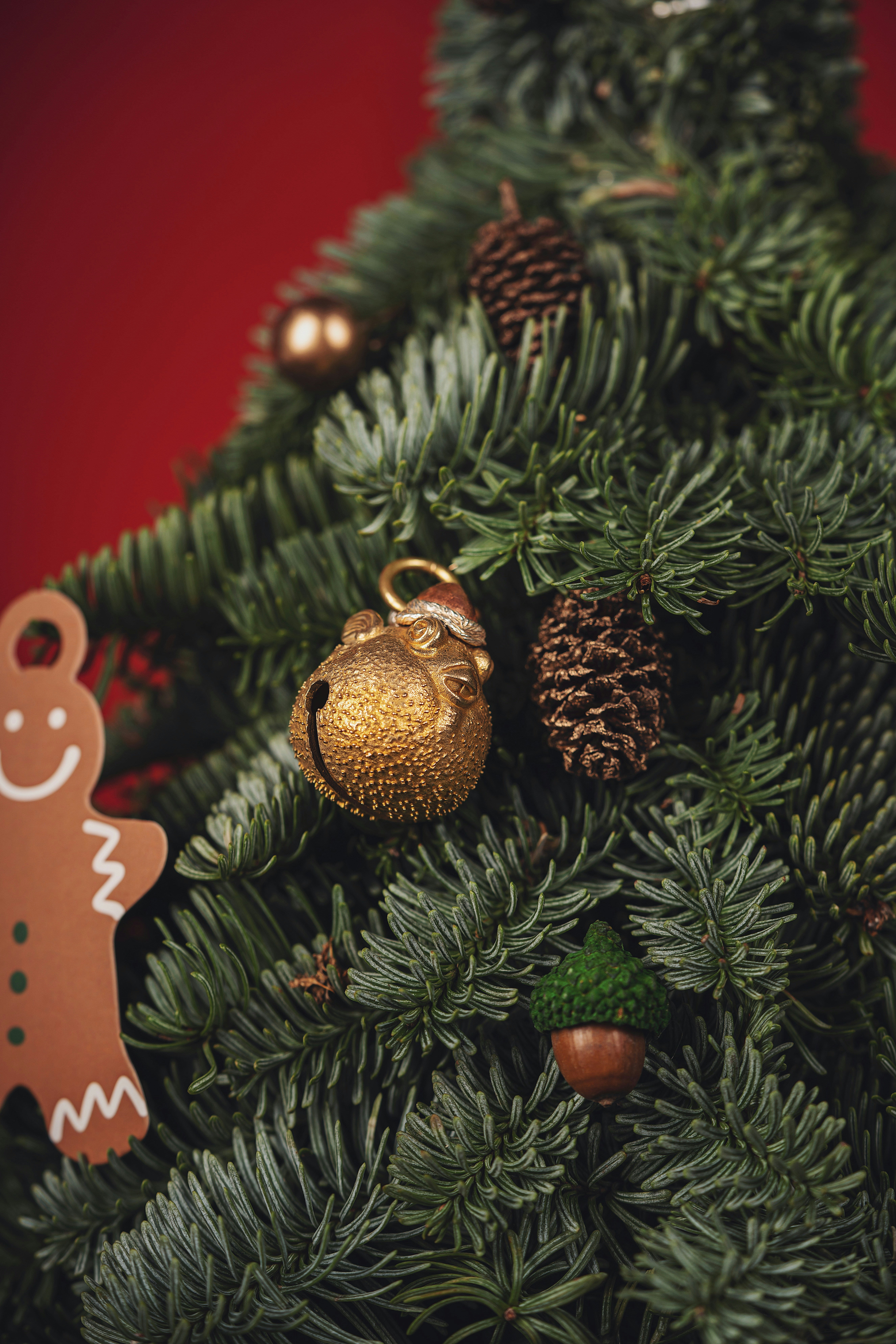 Photo by coppertistwu