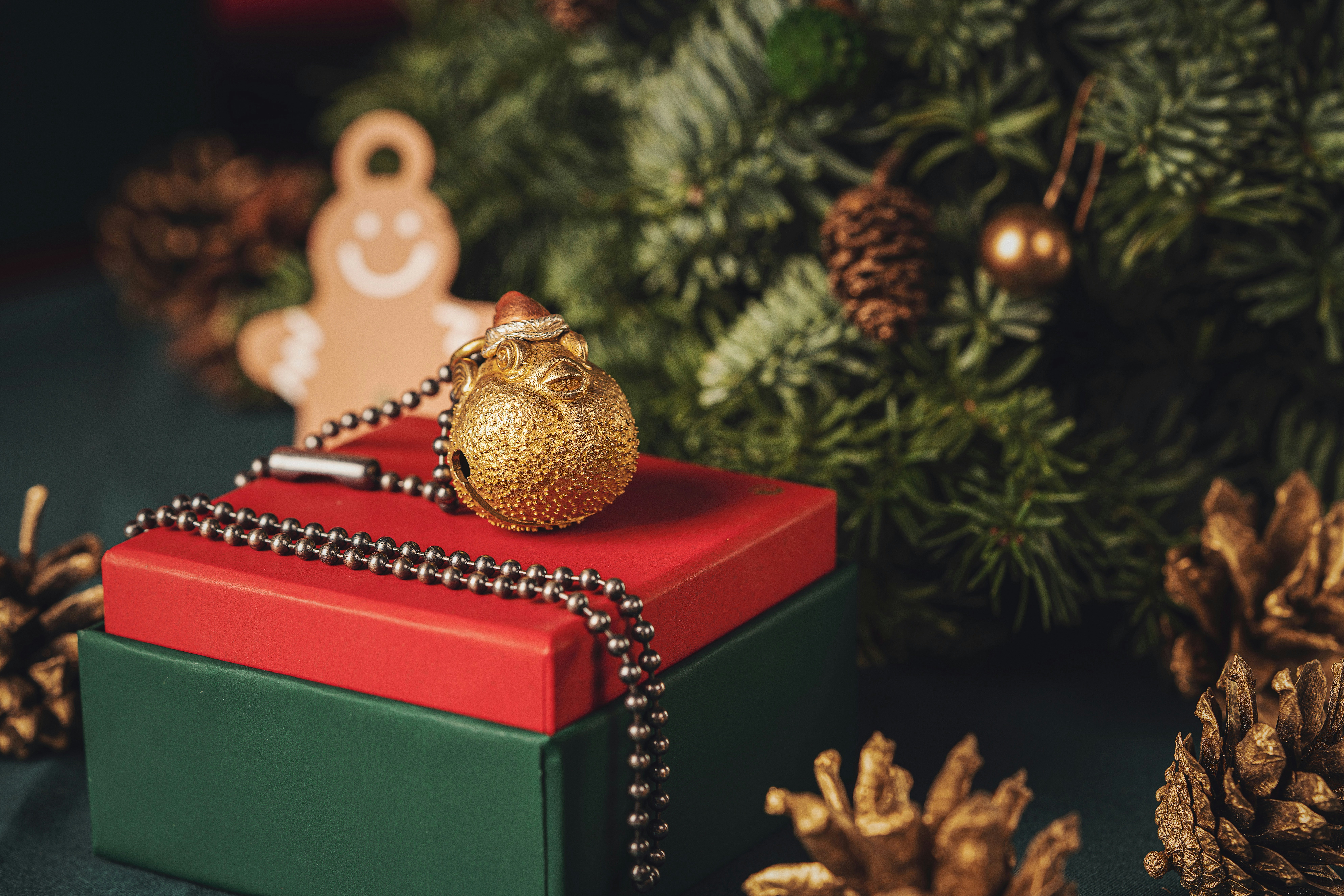 Photo by coppertistwu