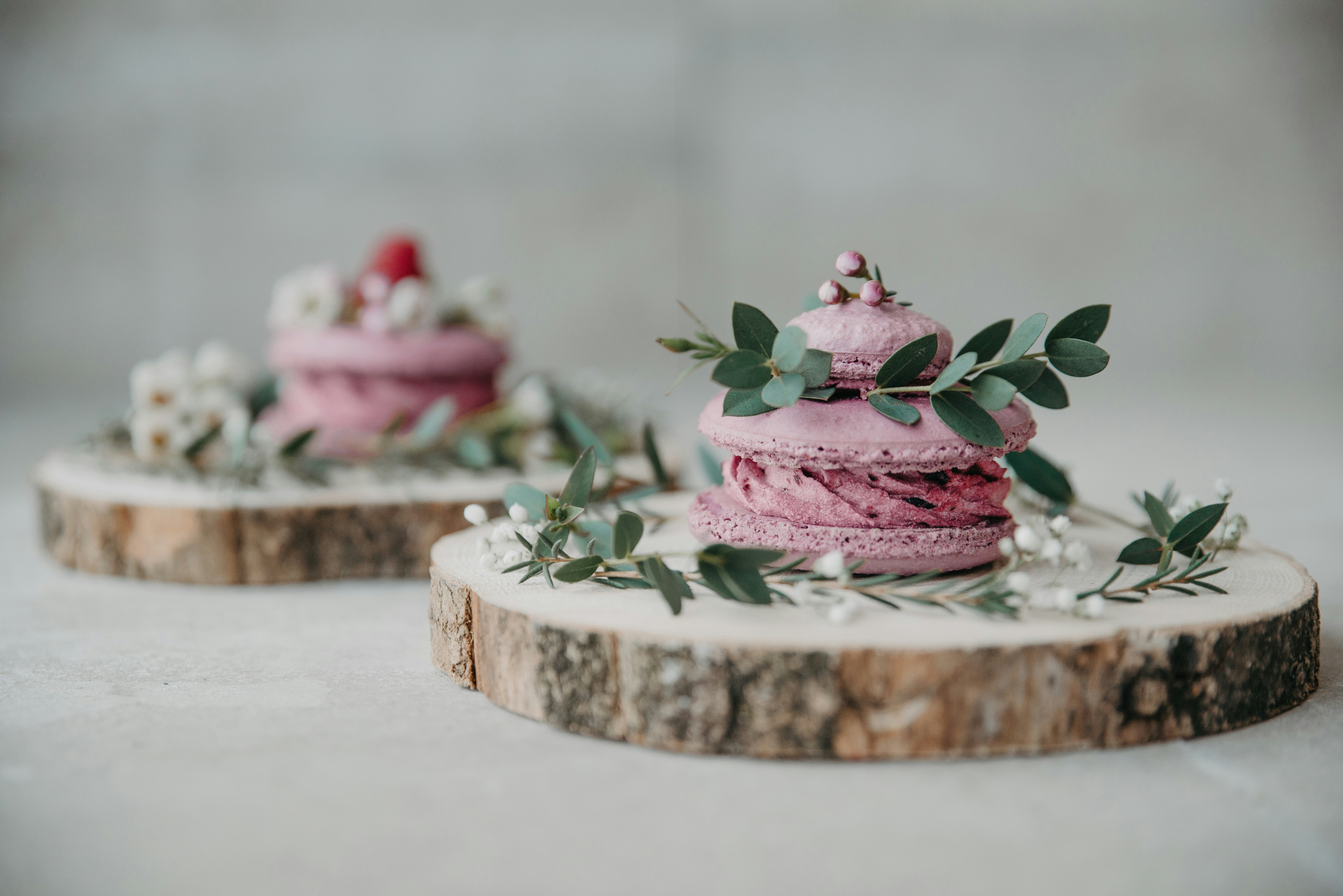 Photo by anitaaustvika