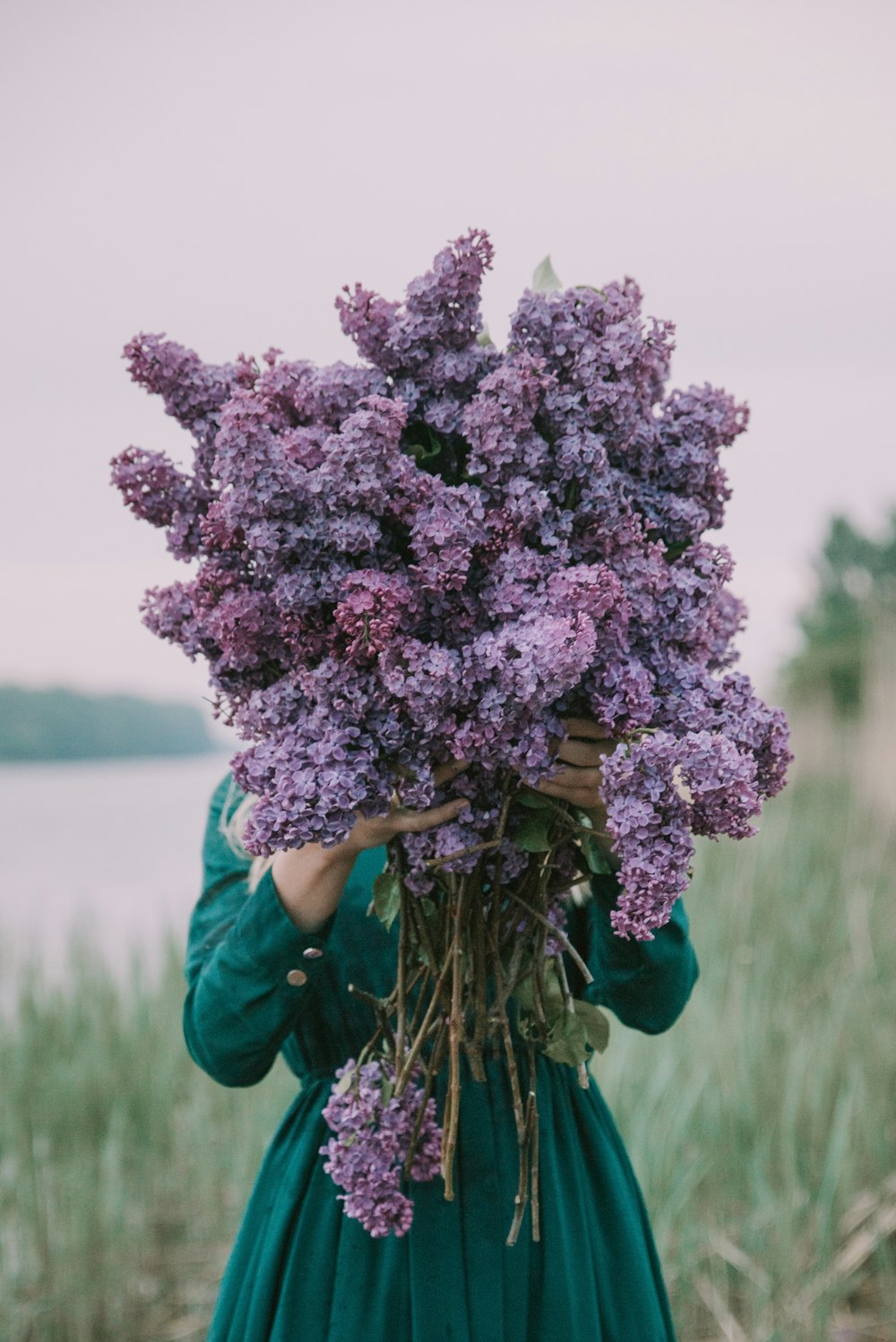 a person holding a bouquet of purple flowers