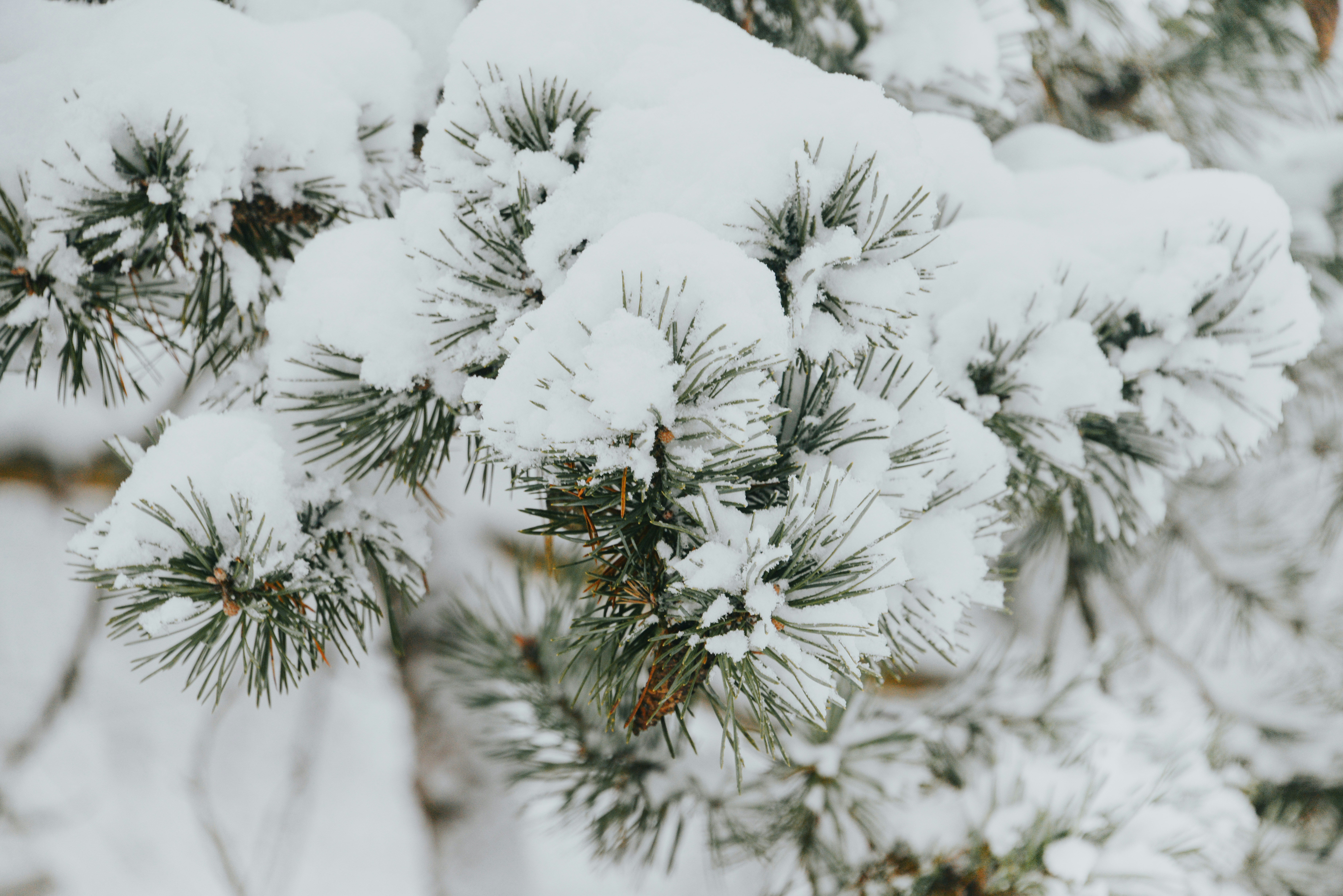 Photo by anitaaustvika