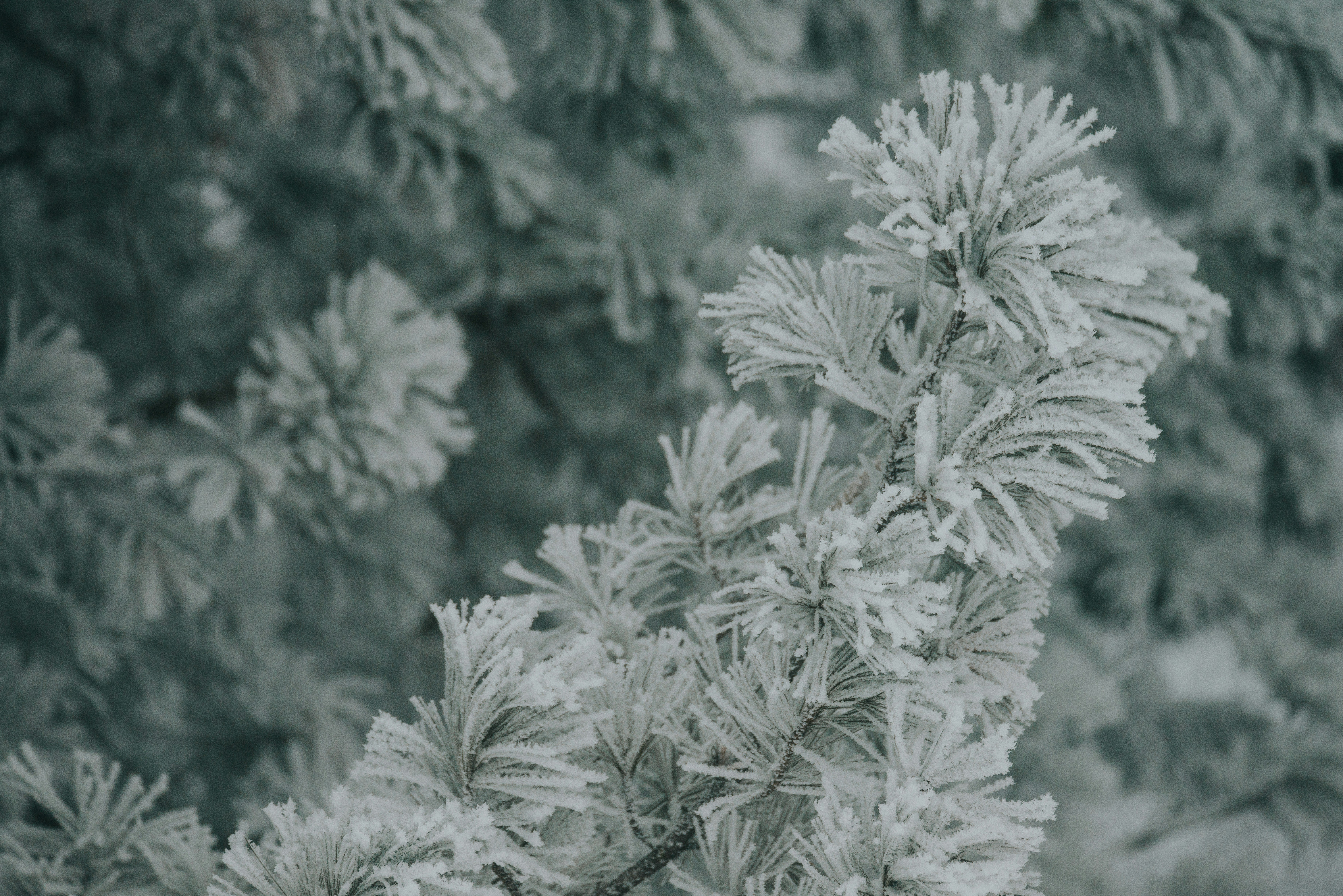 Photo by anitaaustvika