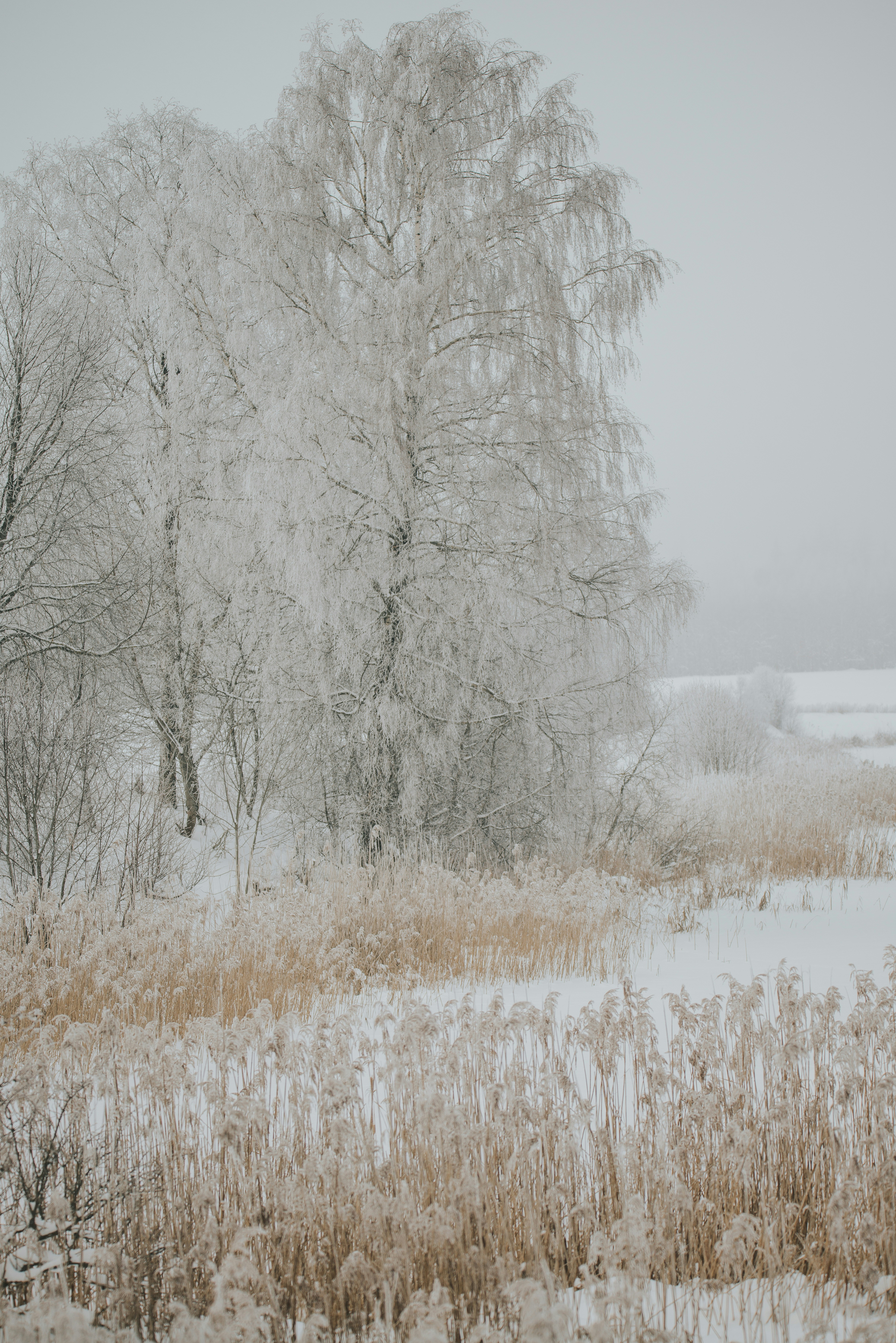 Photo by anitaaustvika