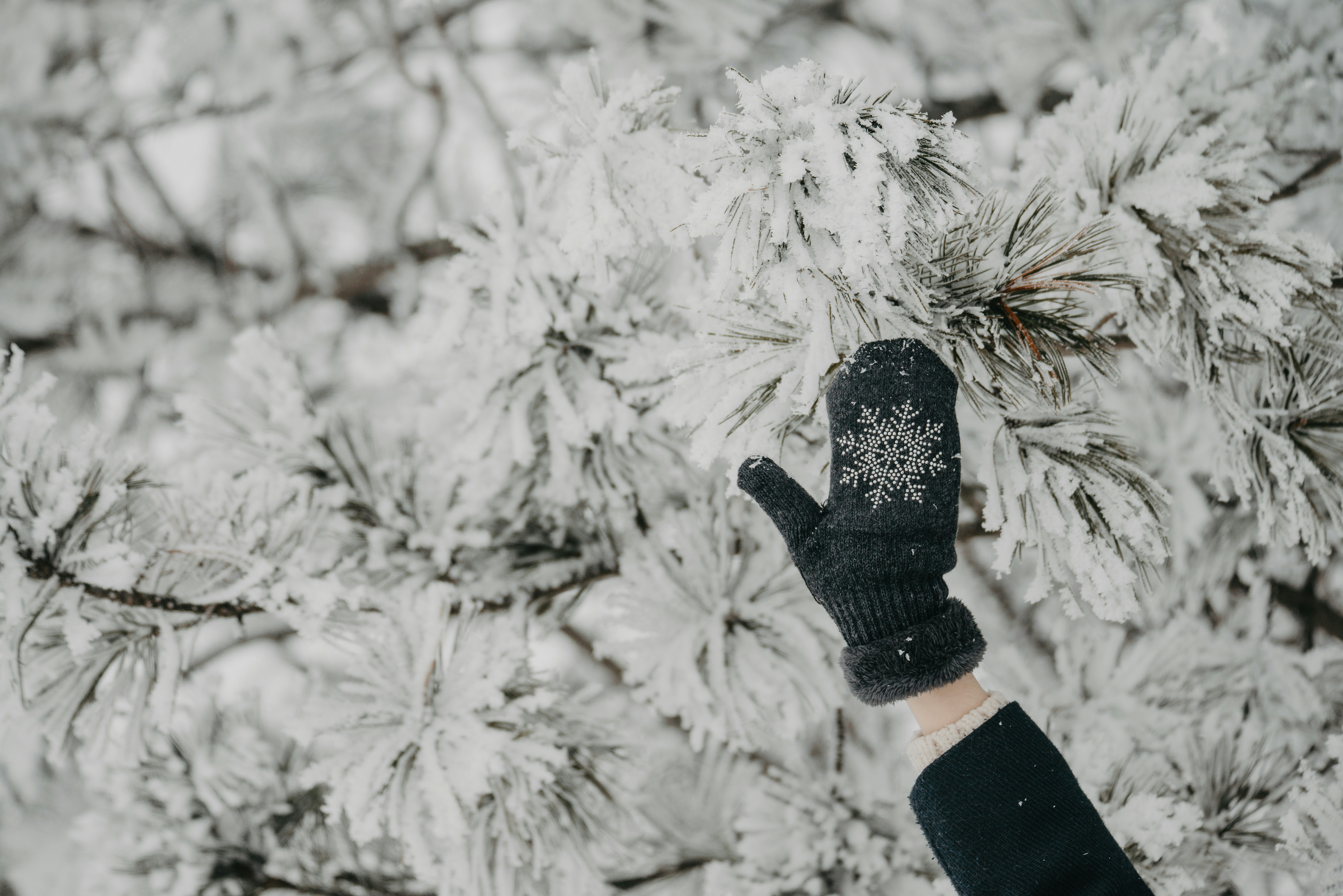 a person wearing gloves and gloves