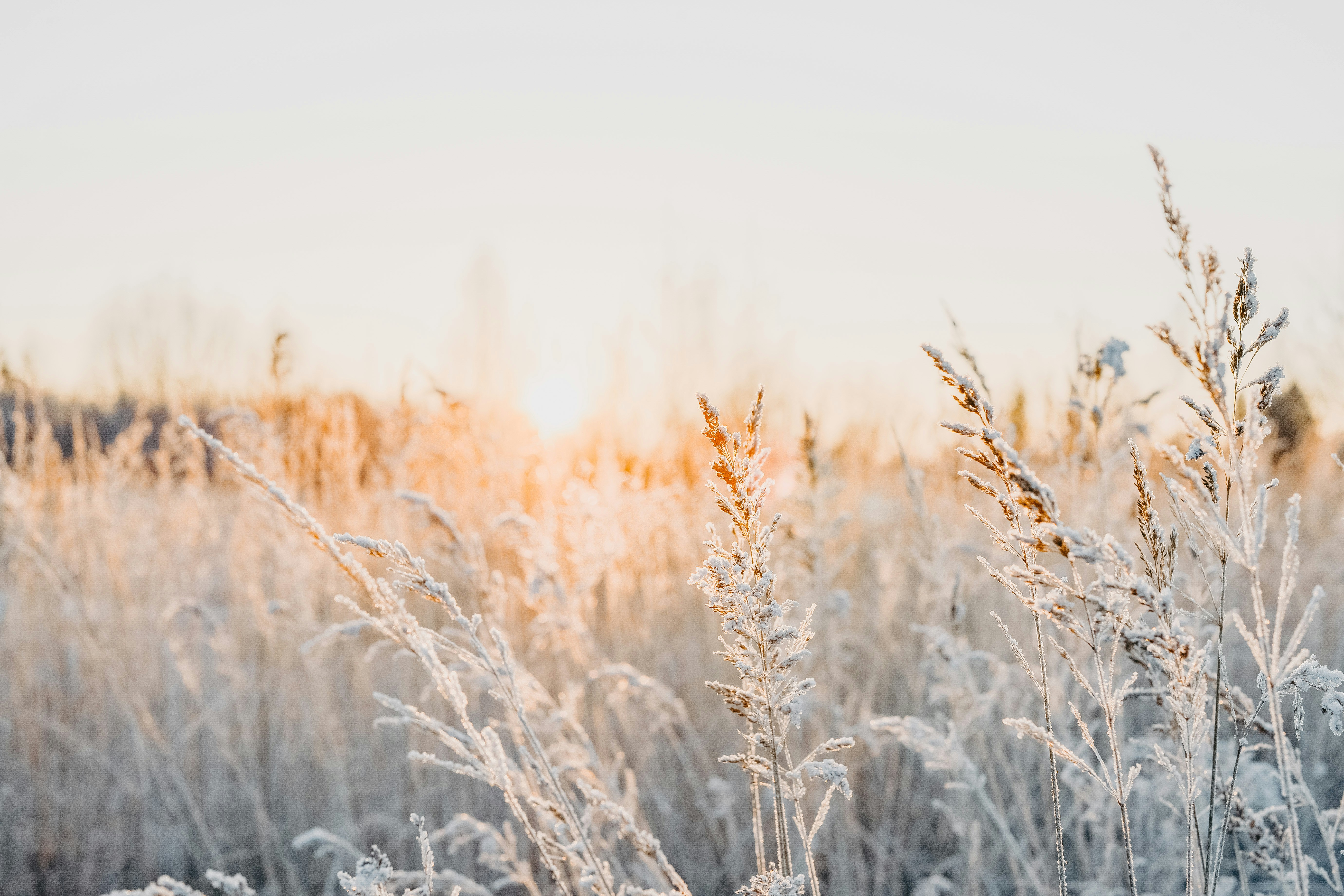 Photo by anitaaustvika