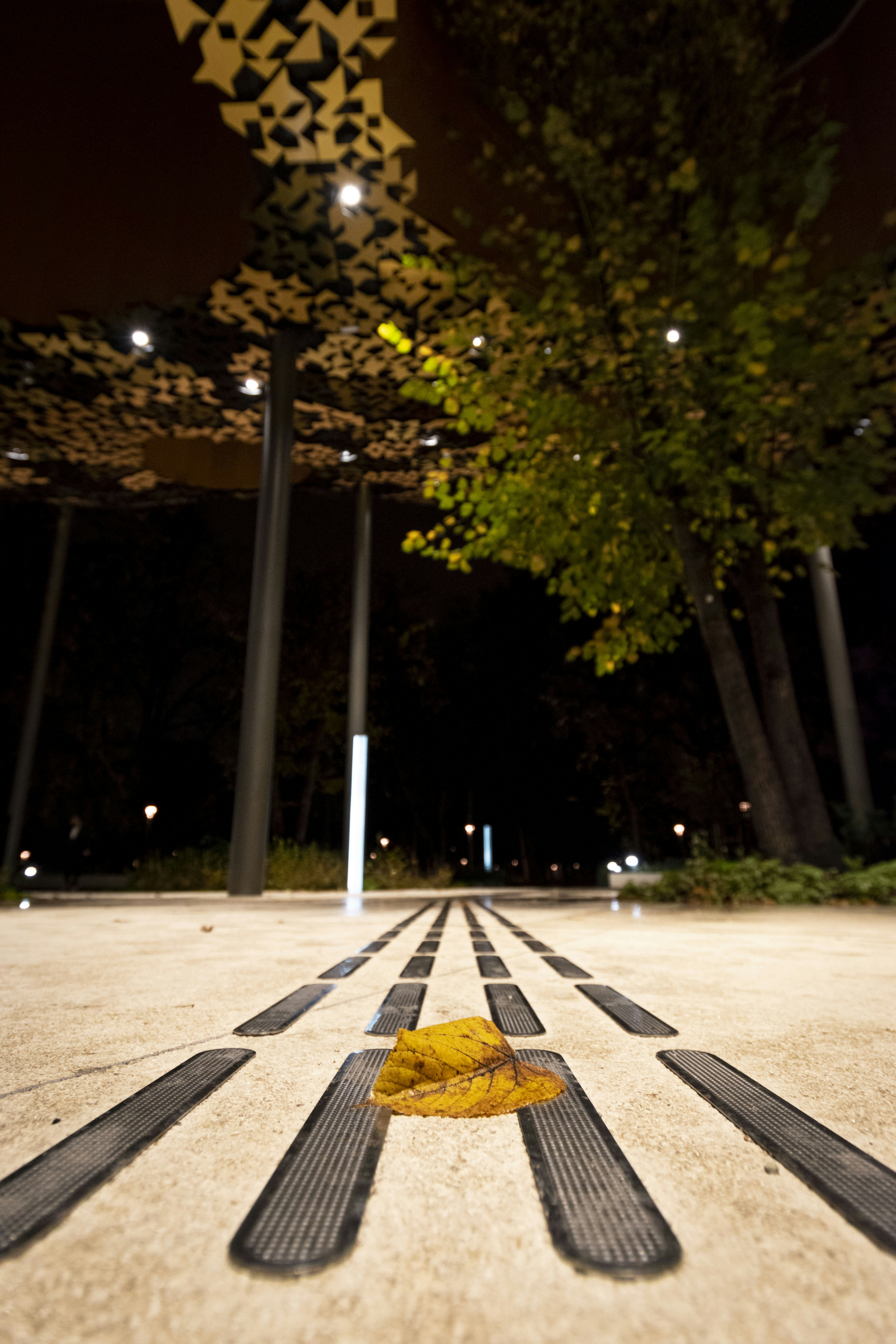 a street with a sign and trees