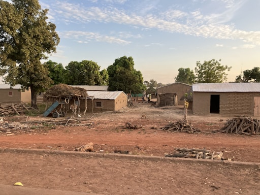 A rural setting features several small, simple mud-brick buildings with tin roofs. Piles of wooden logs are scattered in the foreground. Surrounding the area are large, leafy green trees under a partly cloudy sky. The ground is dry and dusty, with some small children and animals visible in the distance.