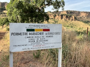 A vibrant image depicting agricultural cooperation in Mali.