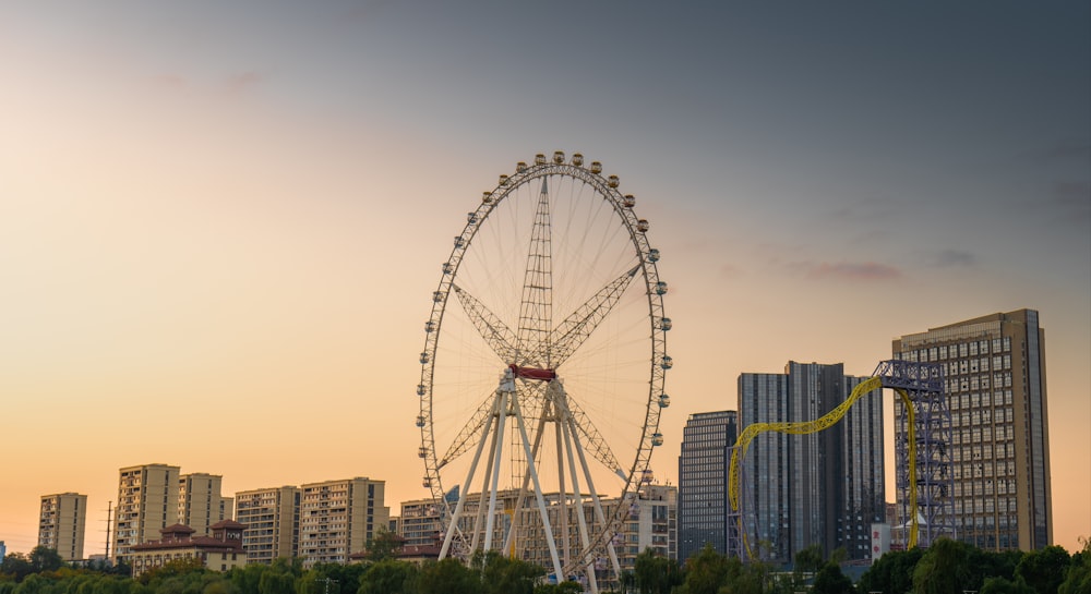 a ferris wheel in front of a city