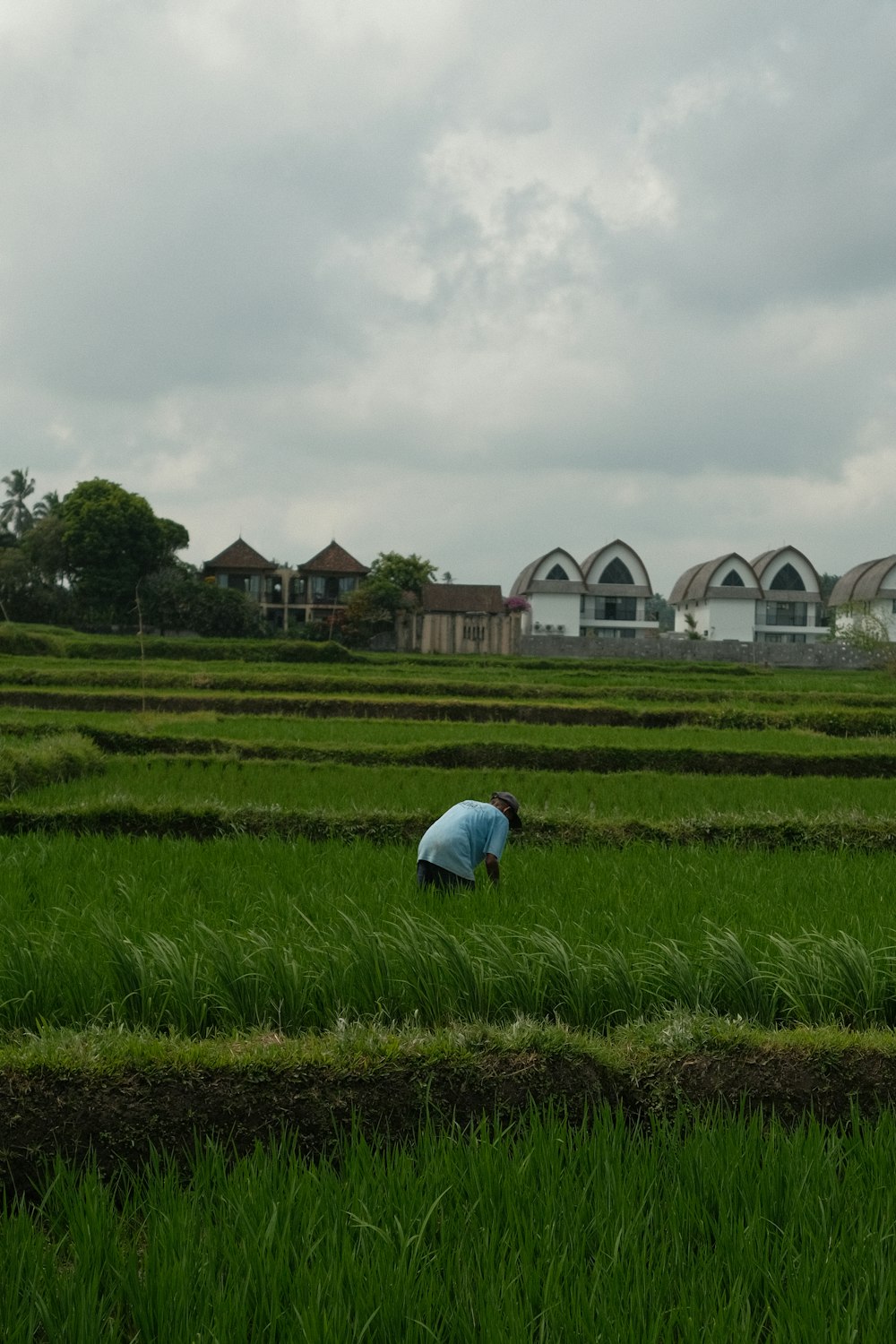 a person working in a field