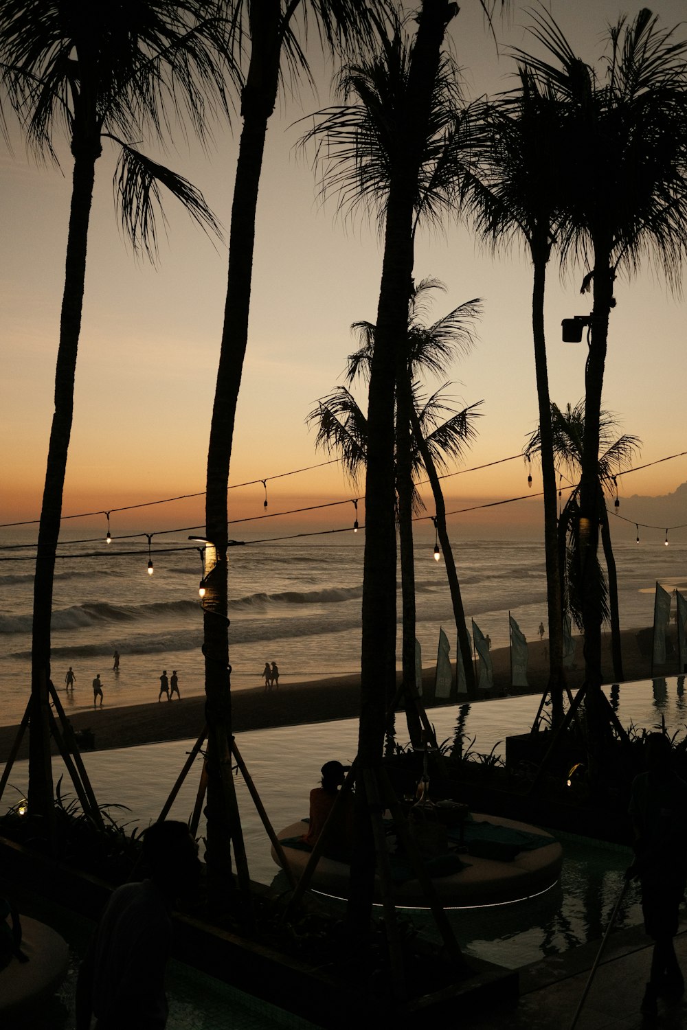 a group of palm trees next to a body of water