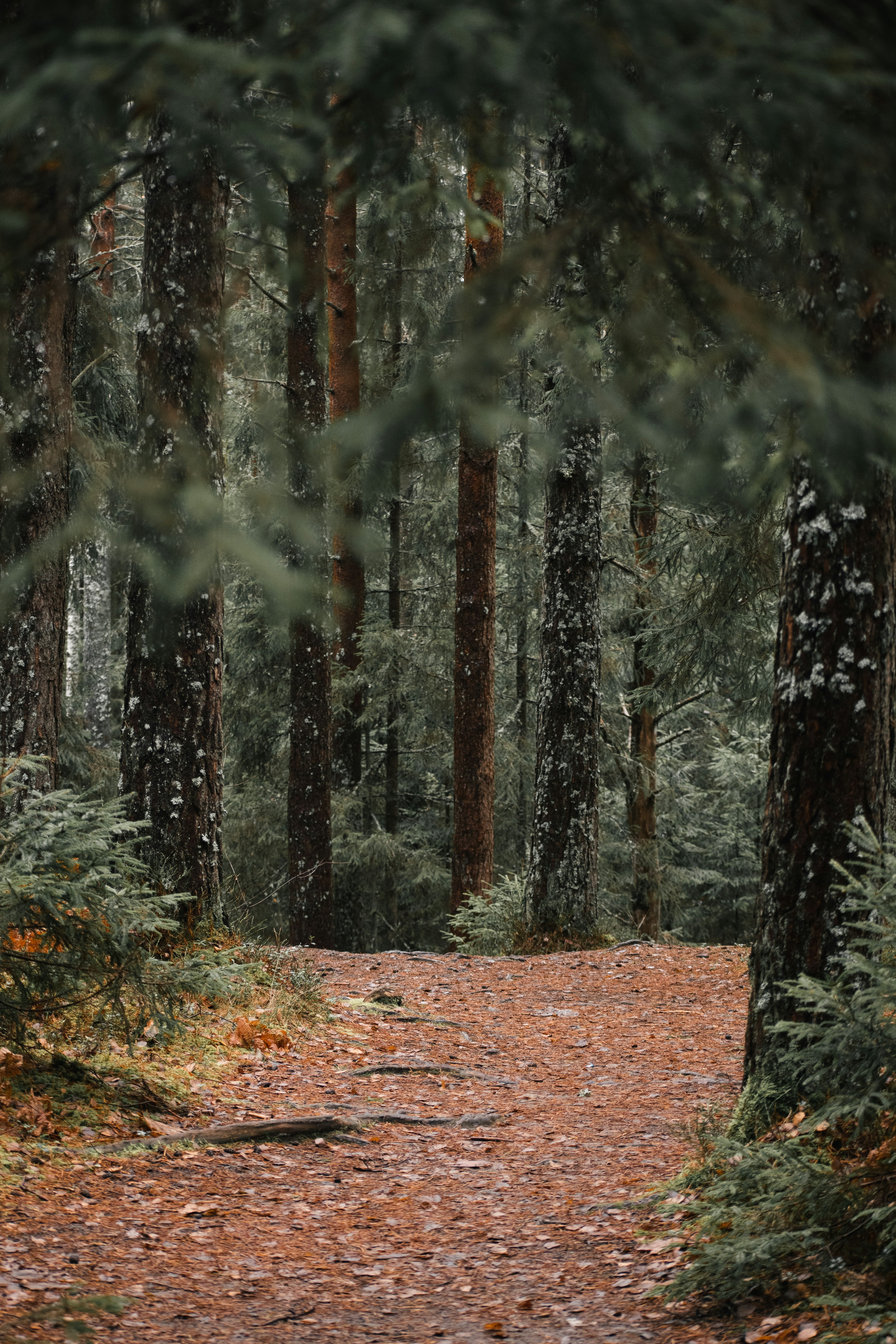 Photo by christina_kozak