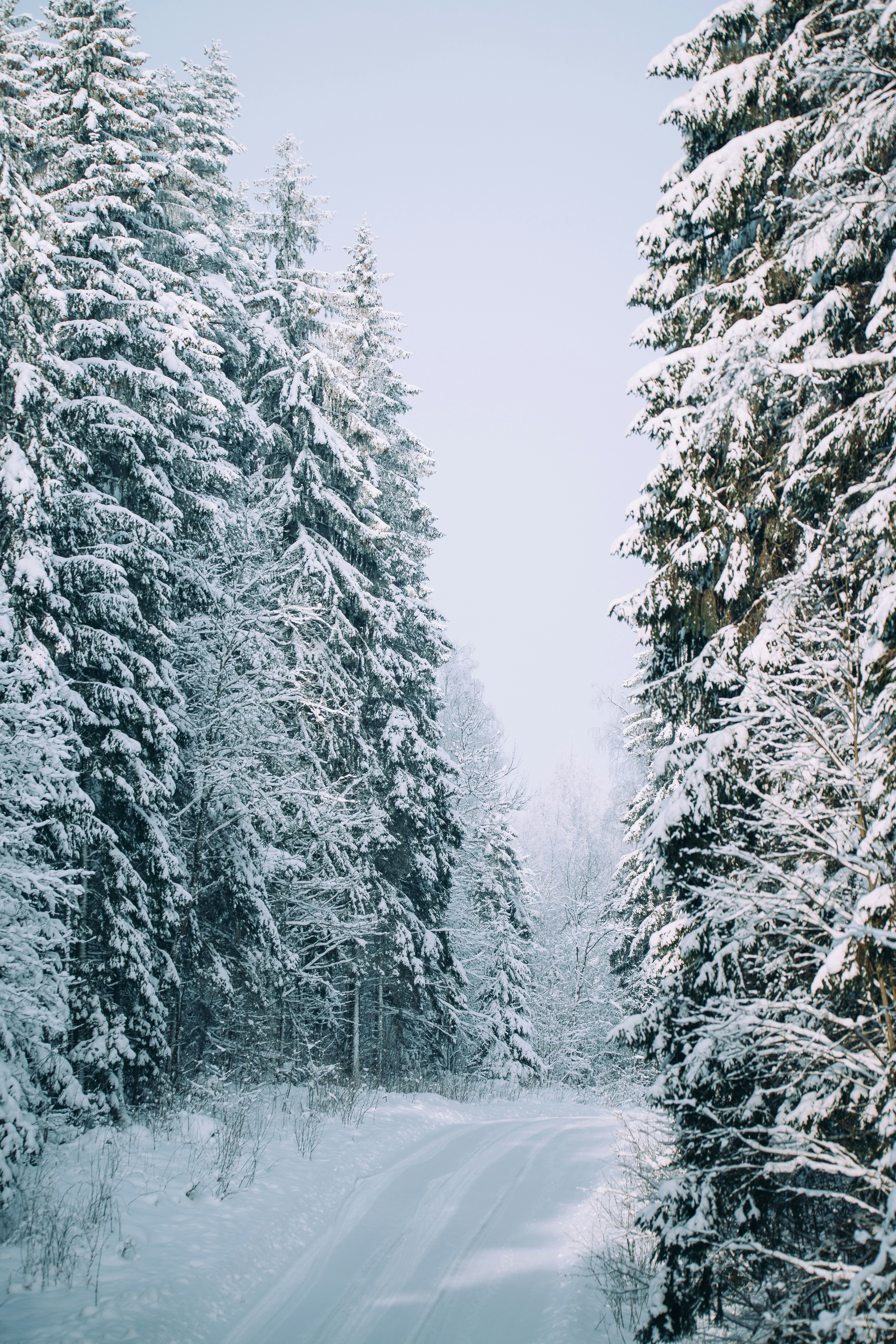 Photo by anitaaustvika